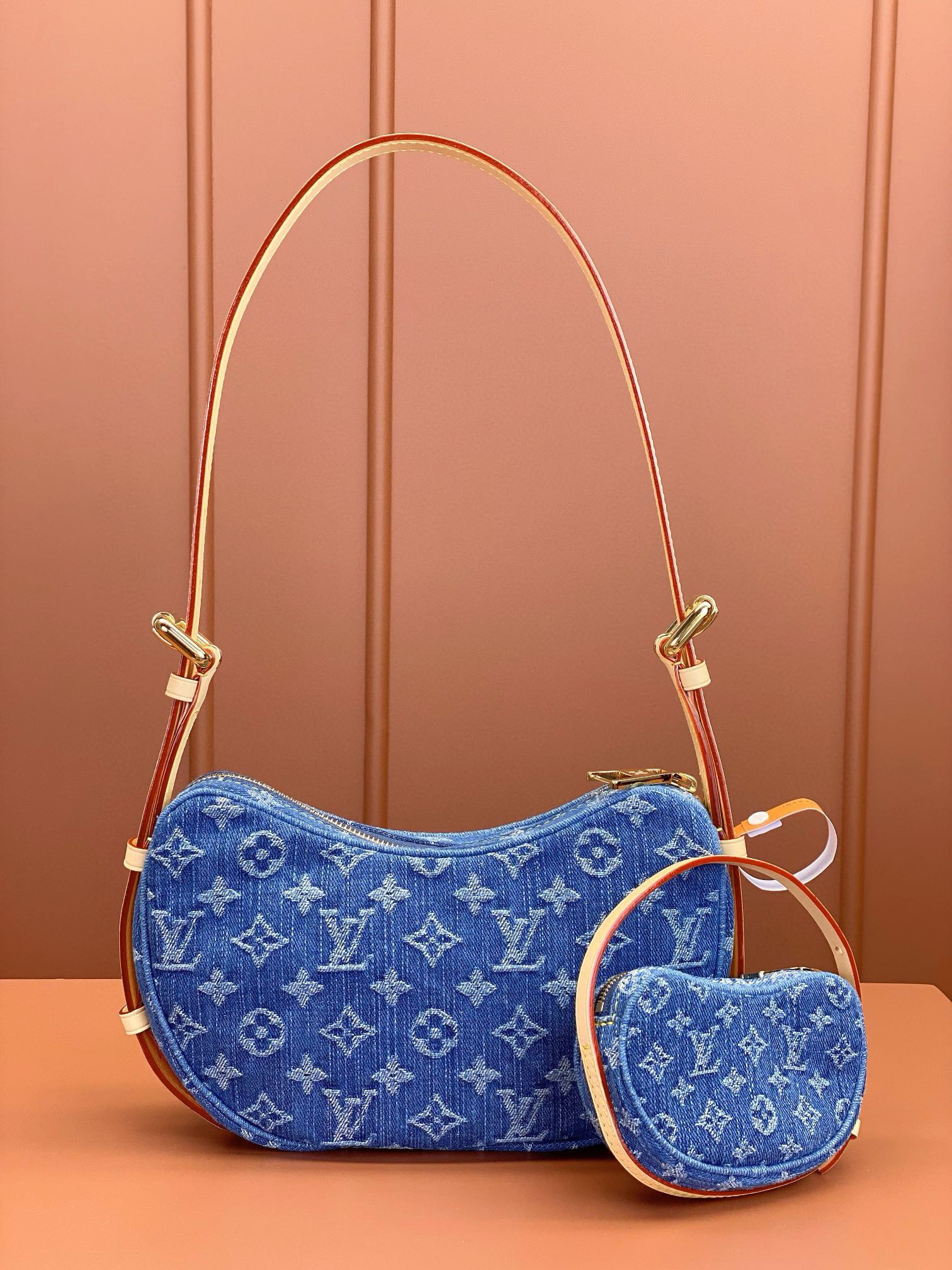LV Bag