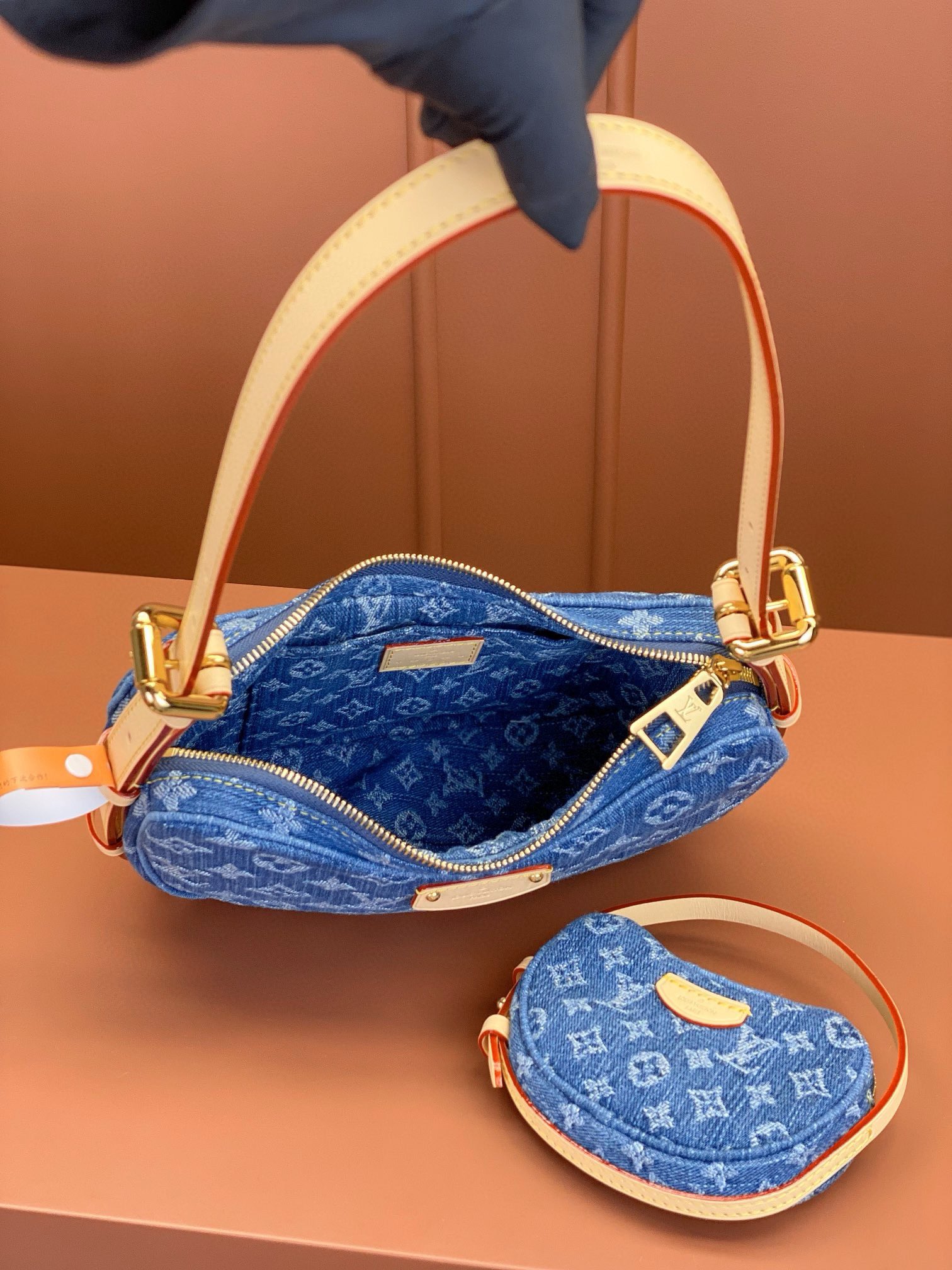 LV Bag