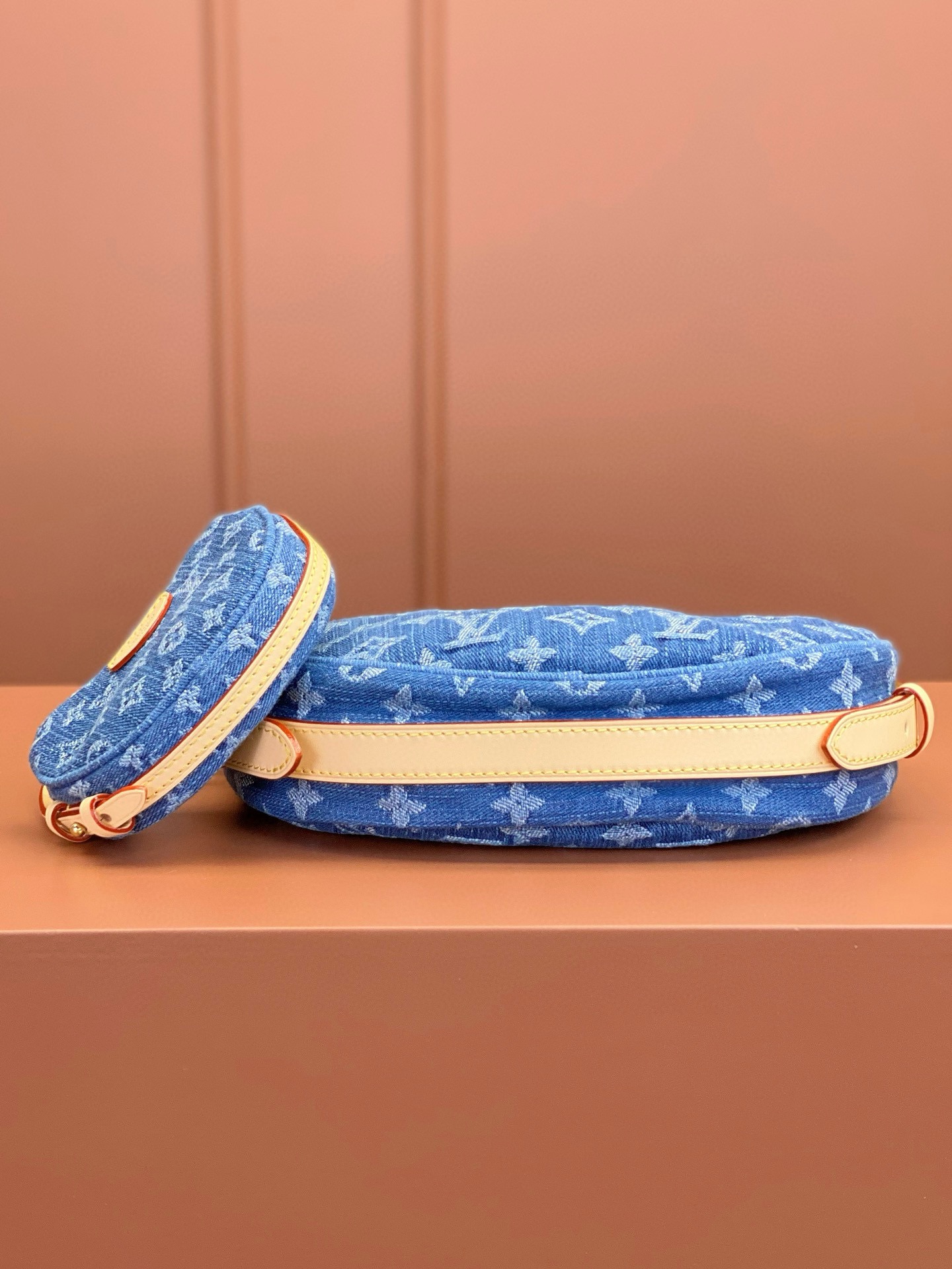 LV Bag