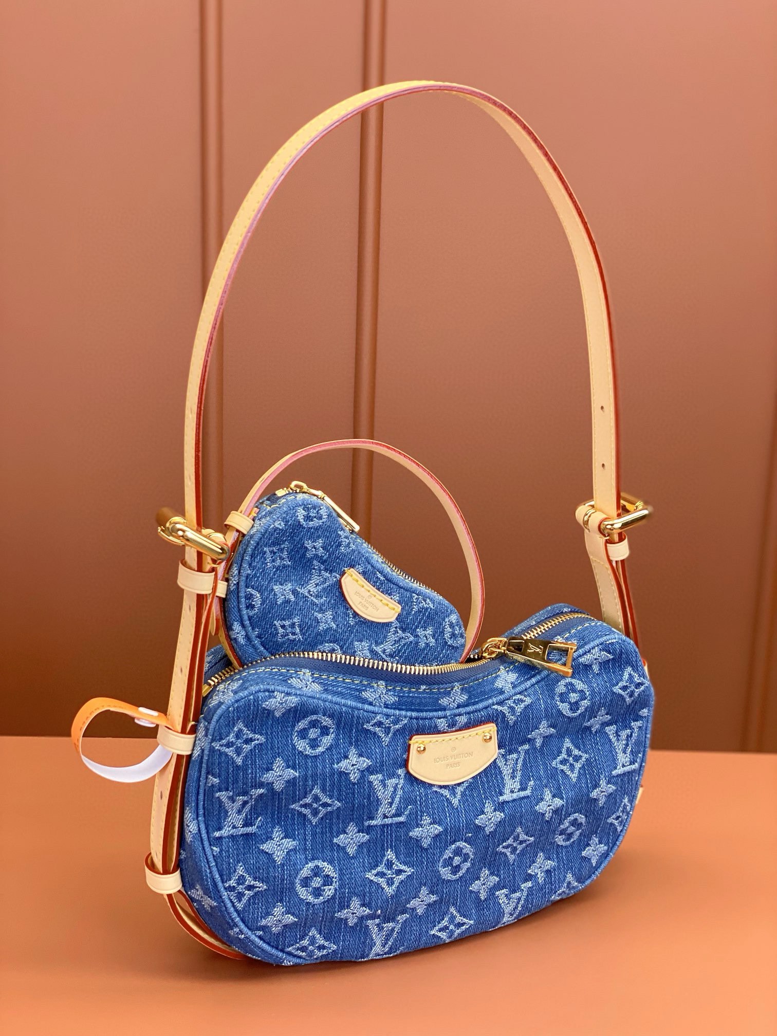 LV Bag