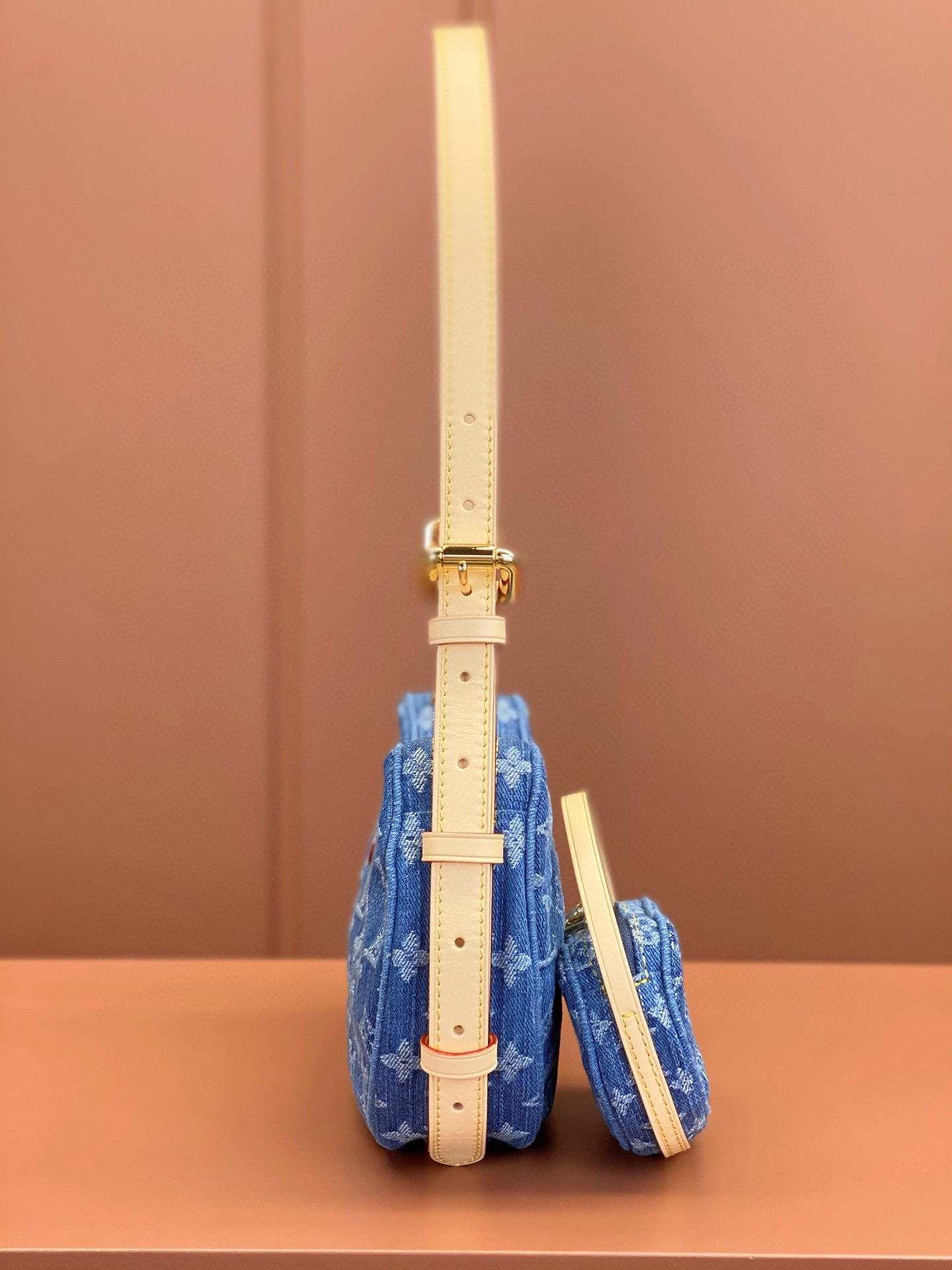 LV Bag