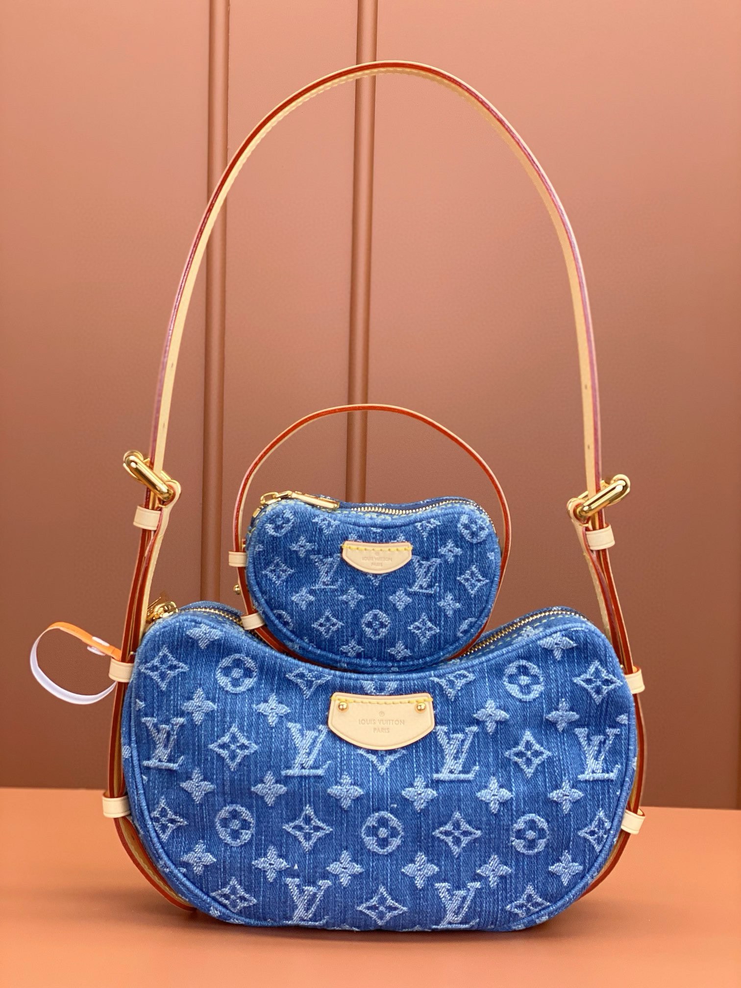 LV Bag