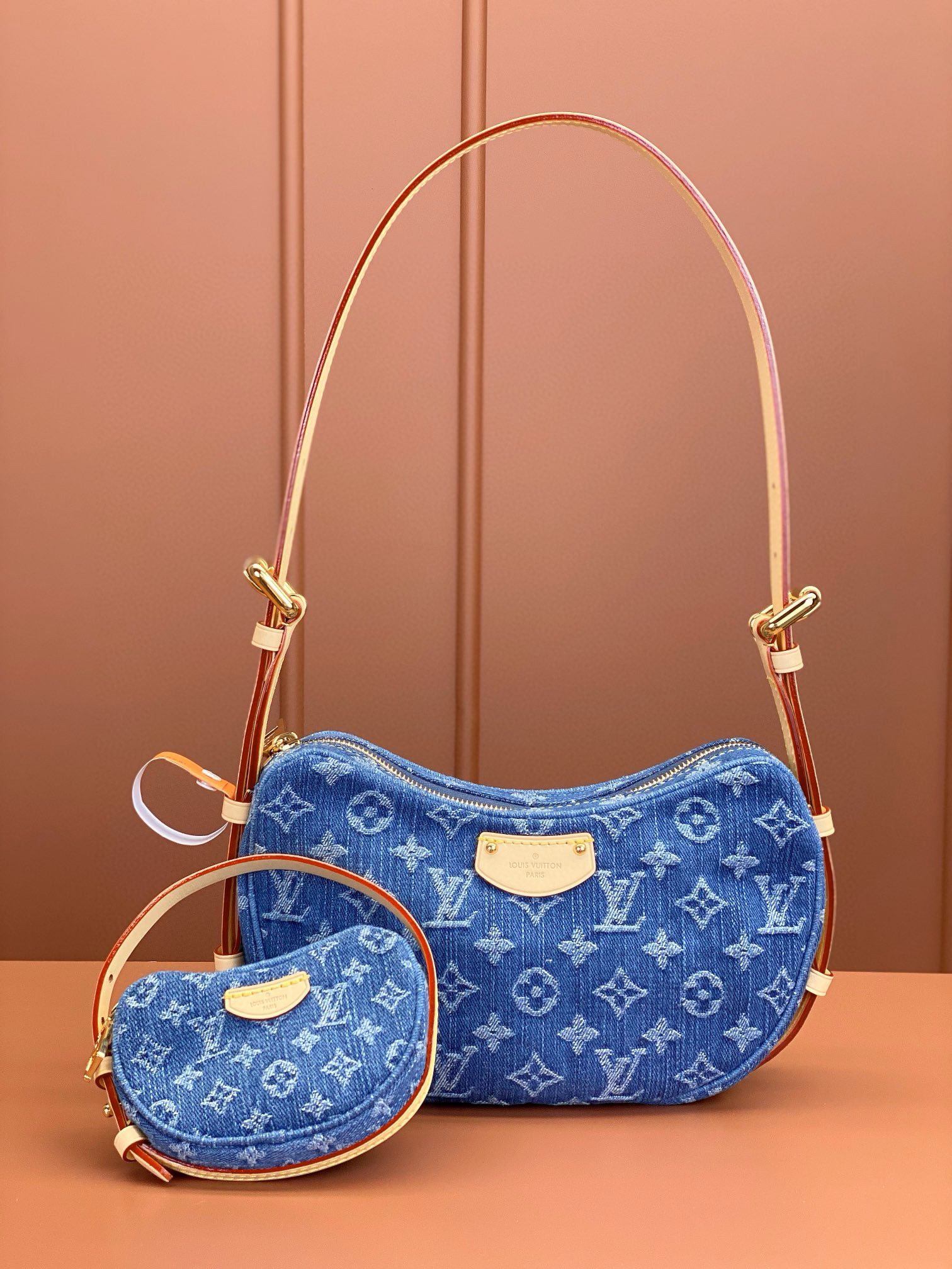 LV Bag
