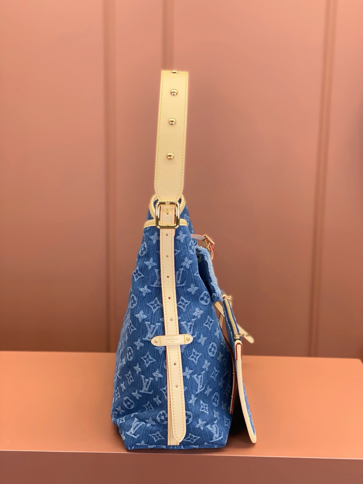LV Bag