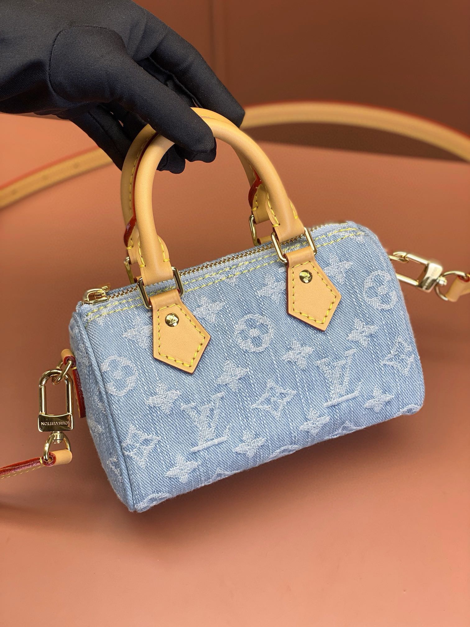 LV Bag