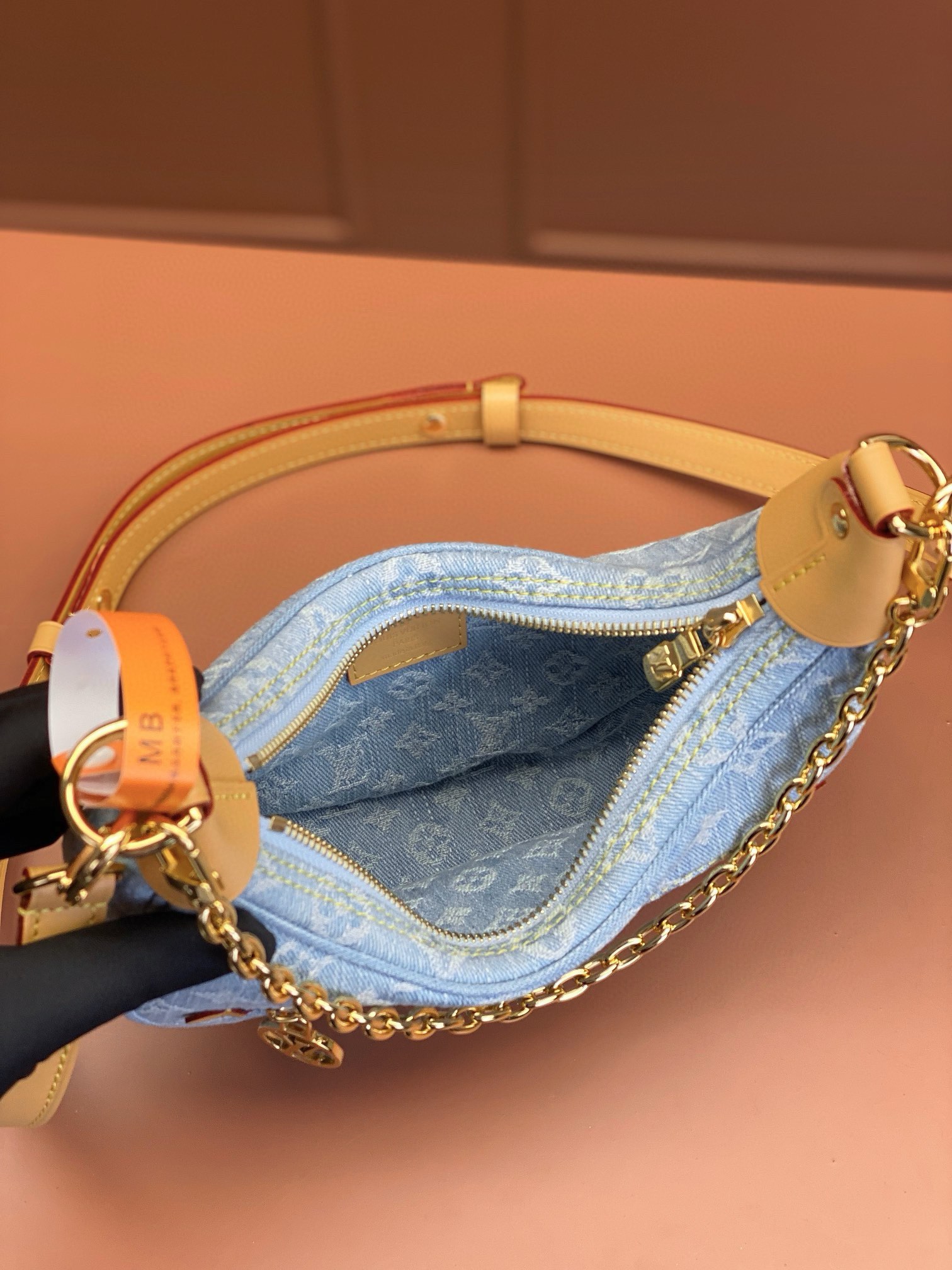 LV Bag