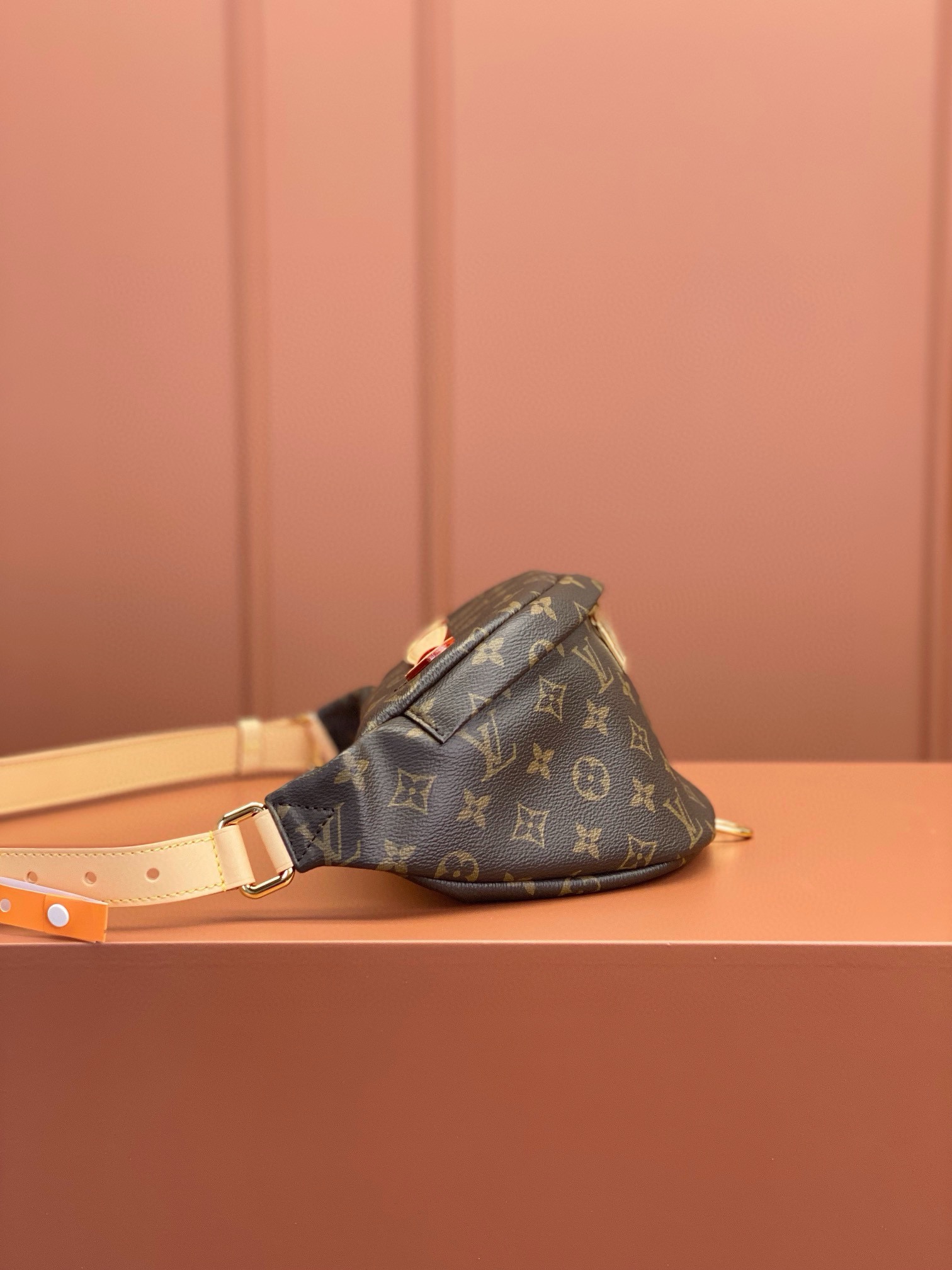 LV Bag