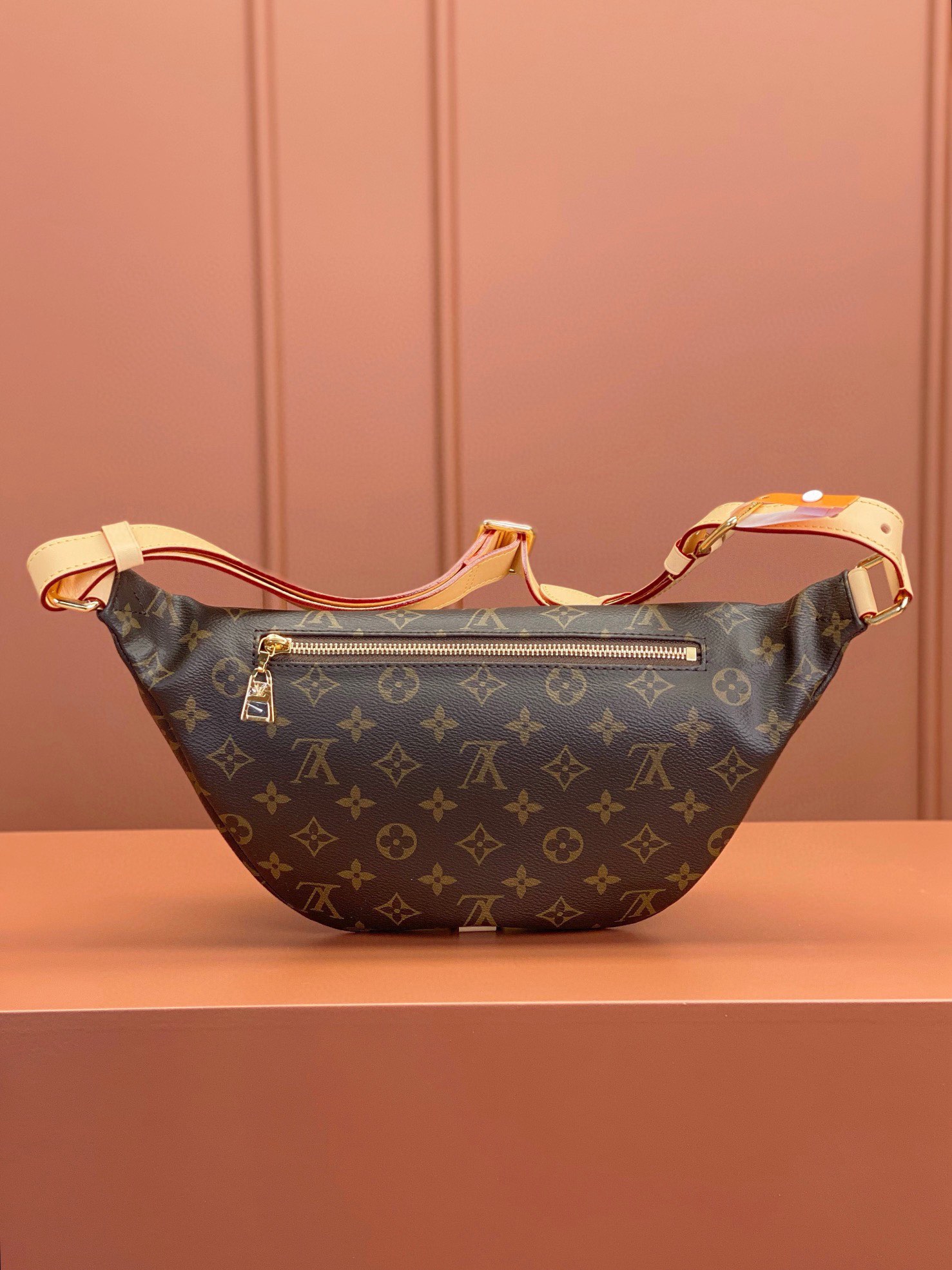 LV Bag