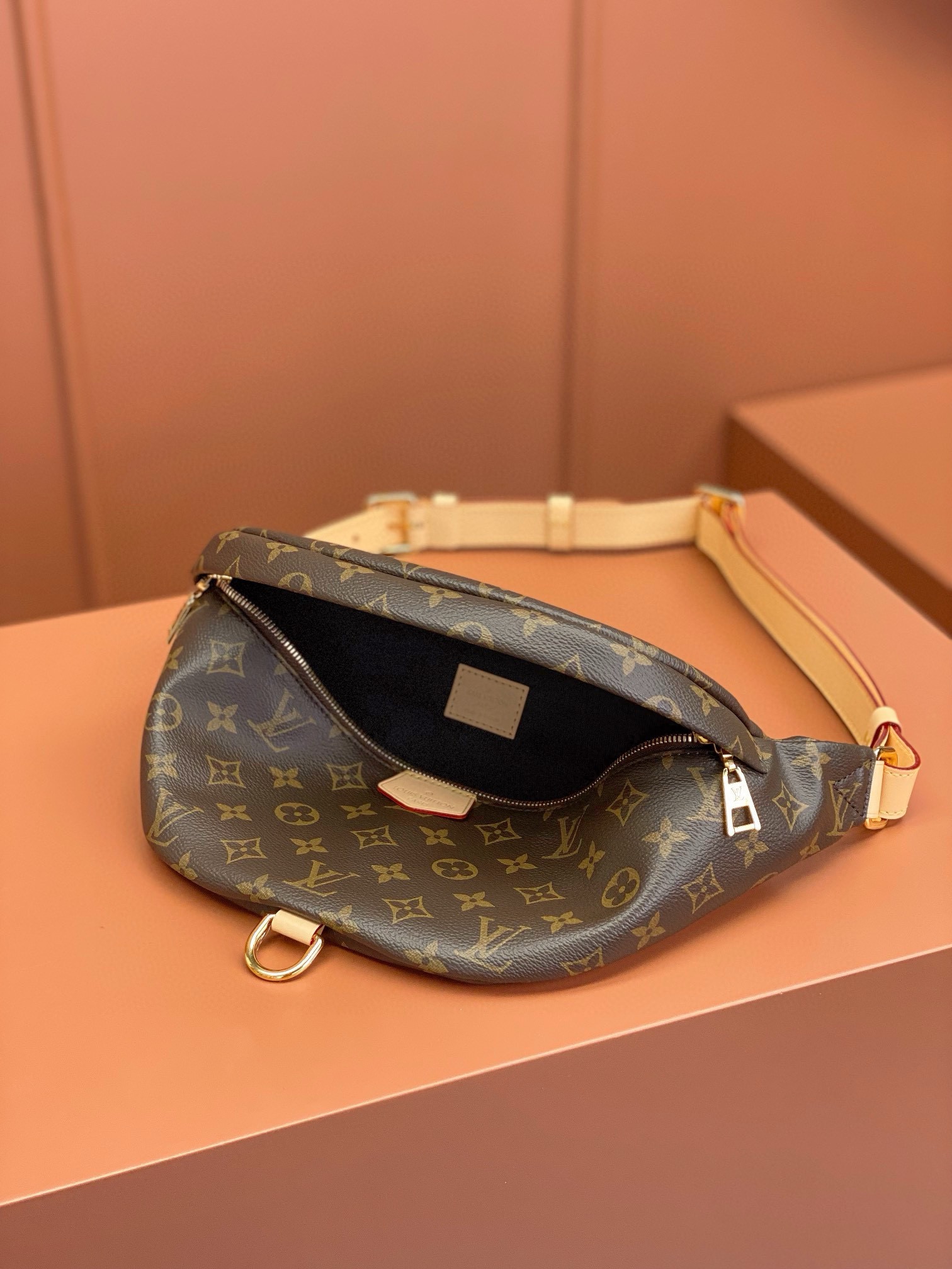 LV Bag