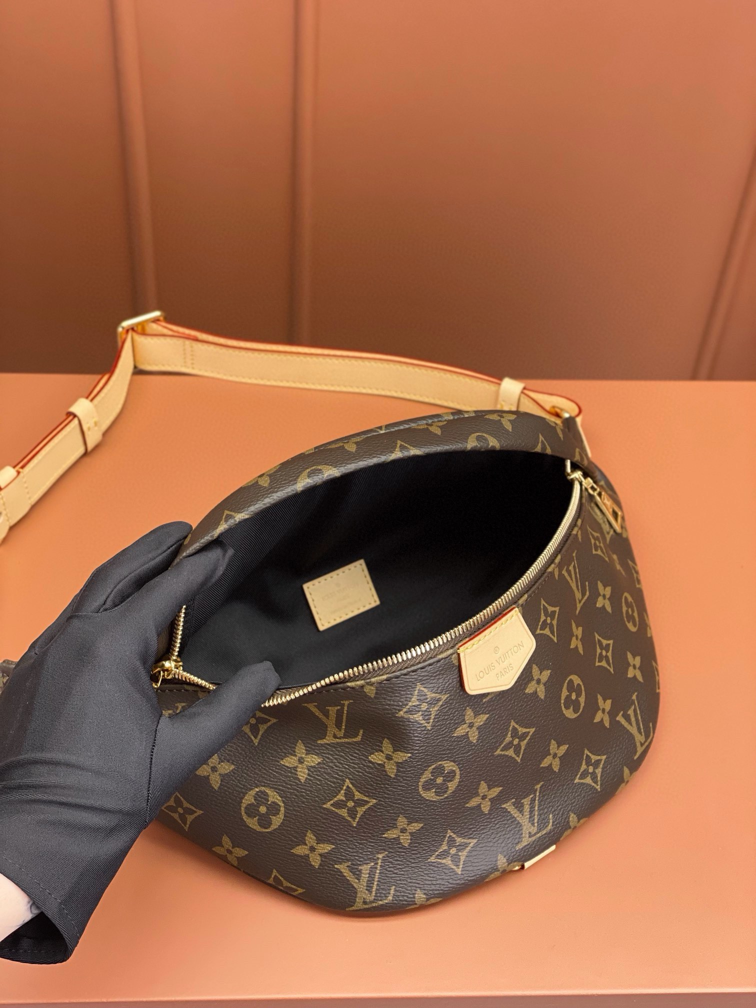 LV Bag