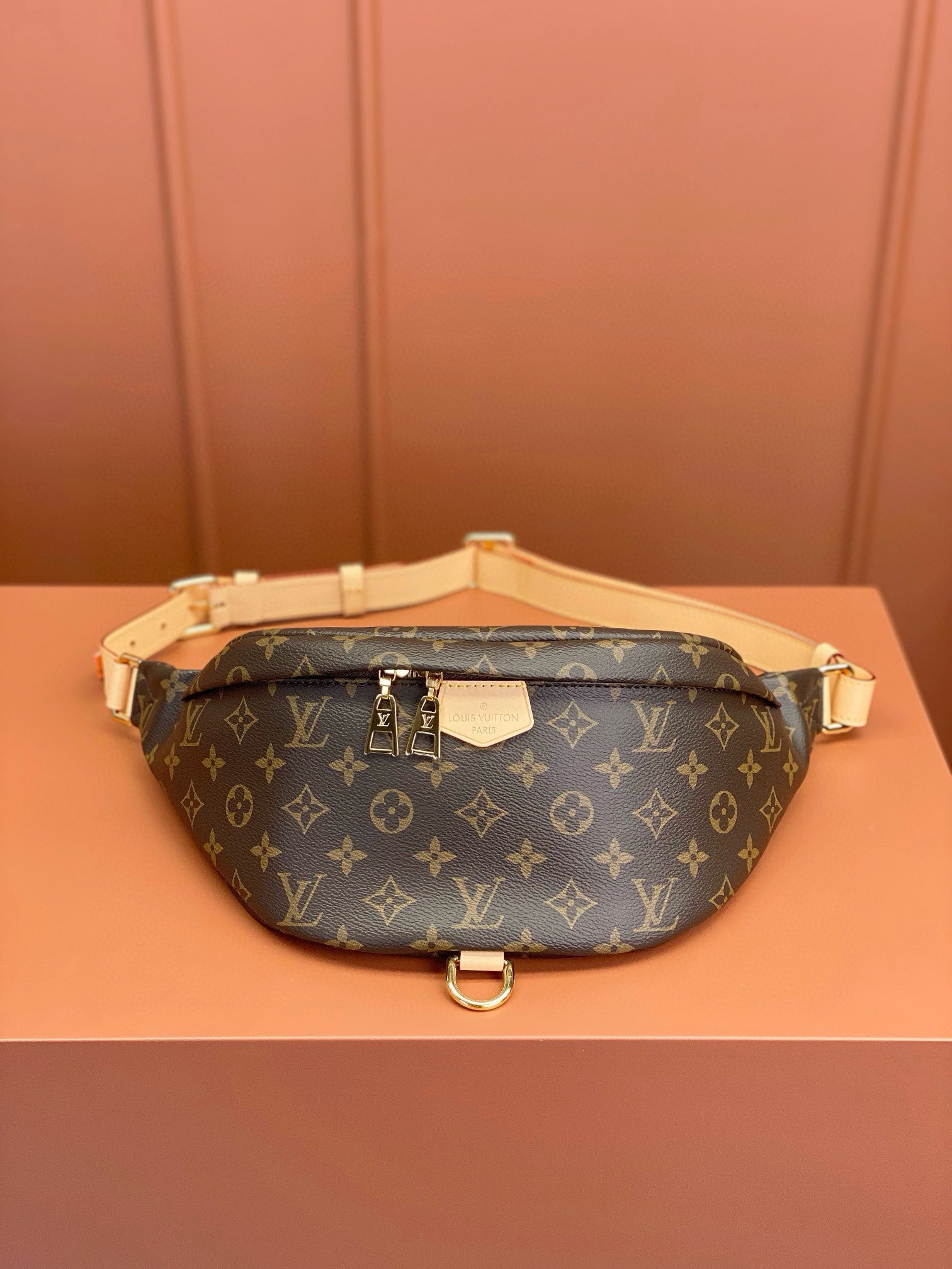 LV Bag