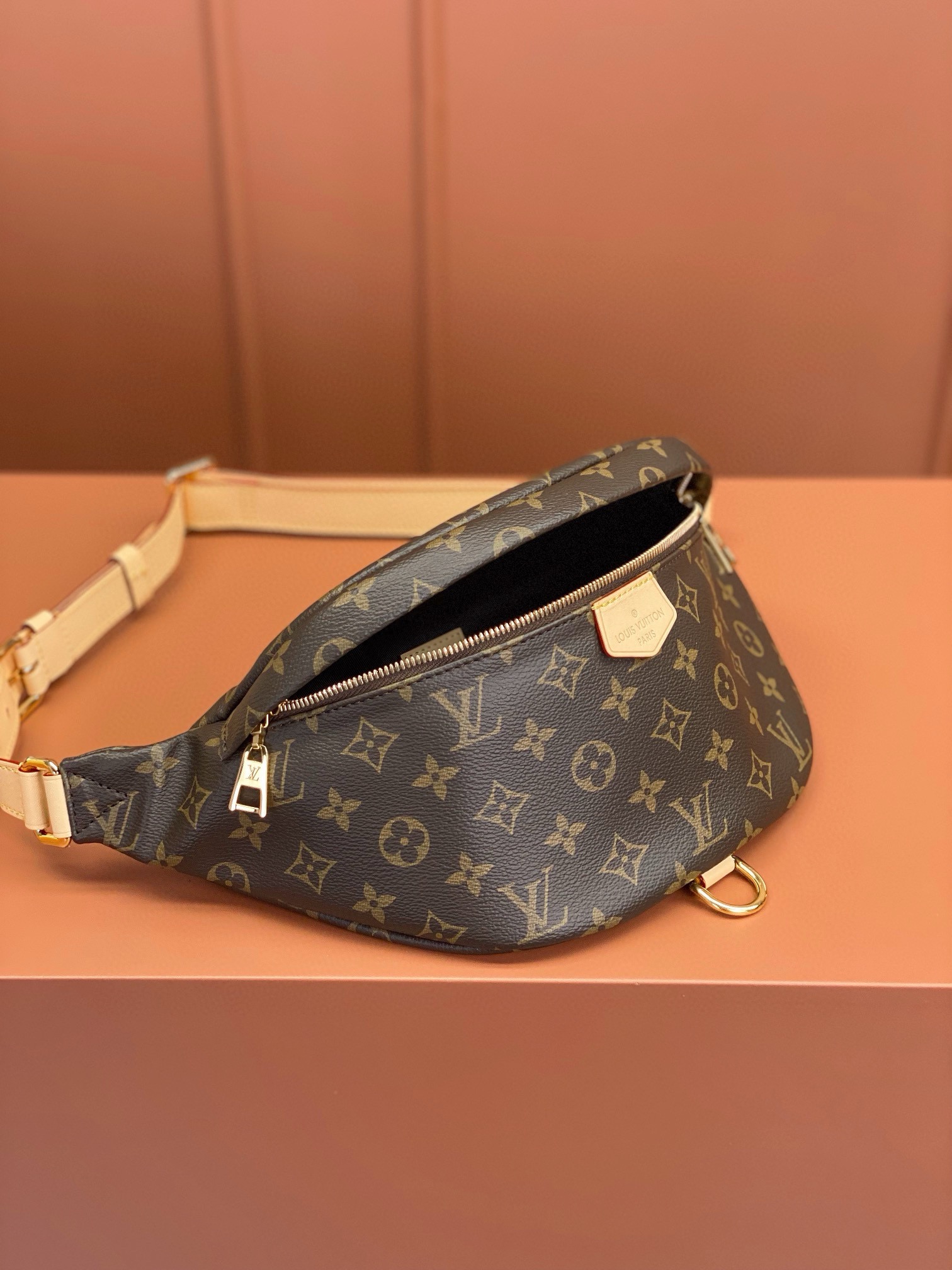 LV Bag