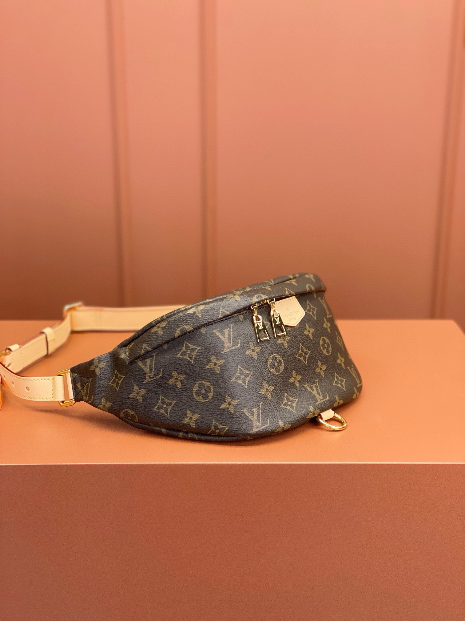 LV Bag