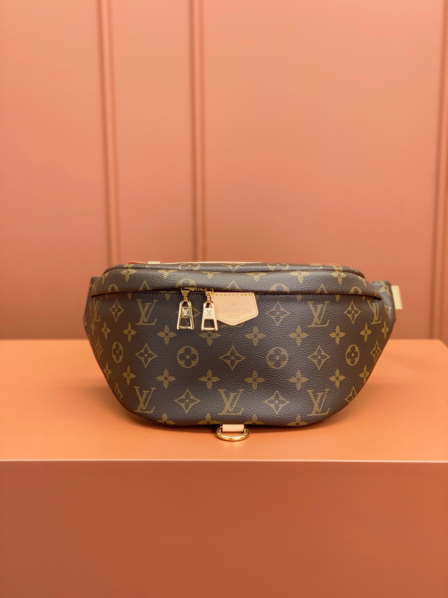 LV Bag