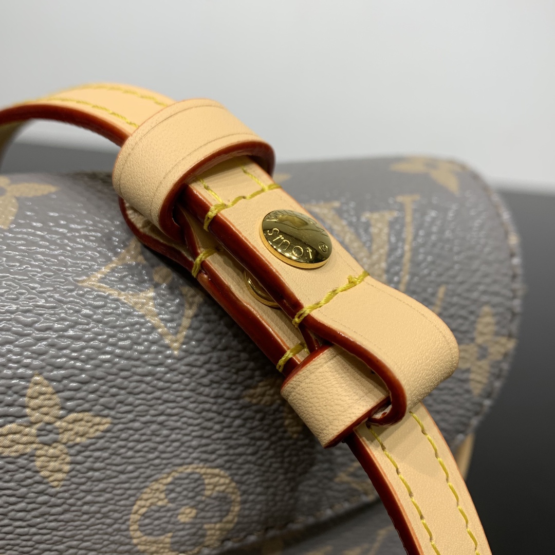 LV Bag