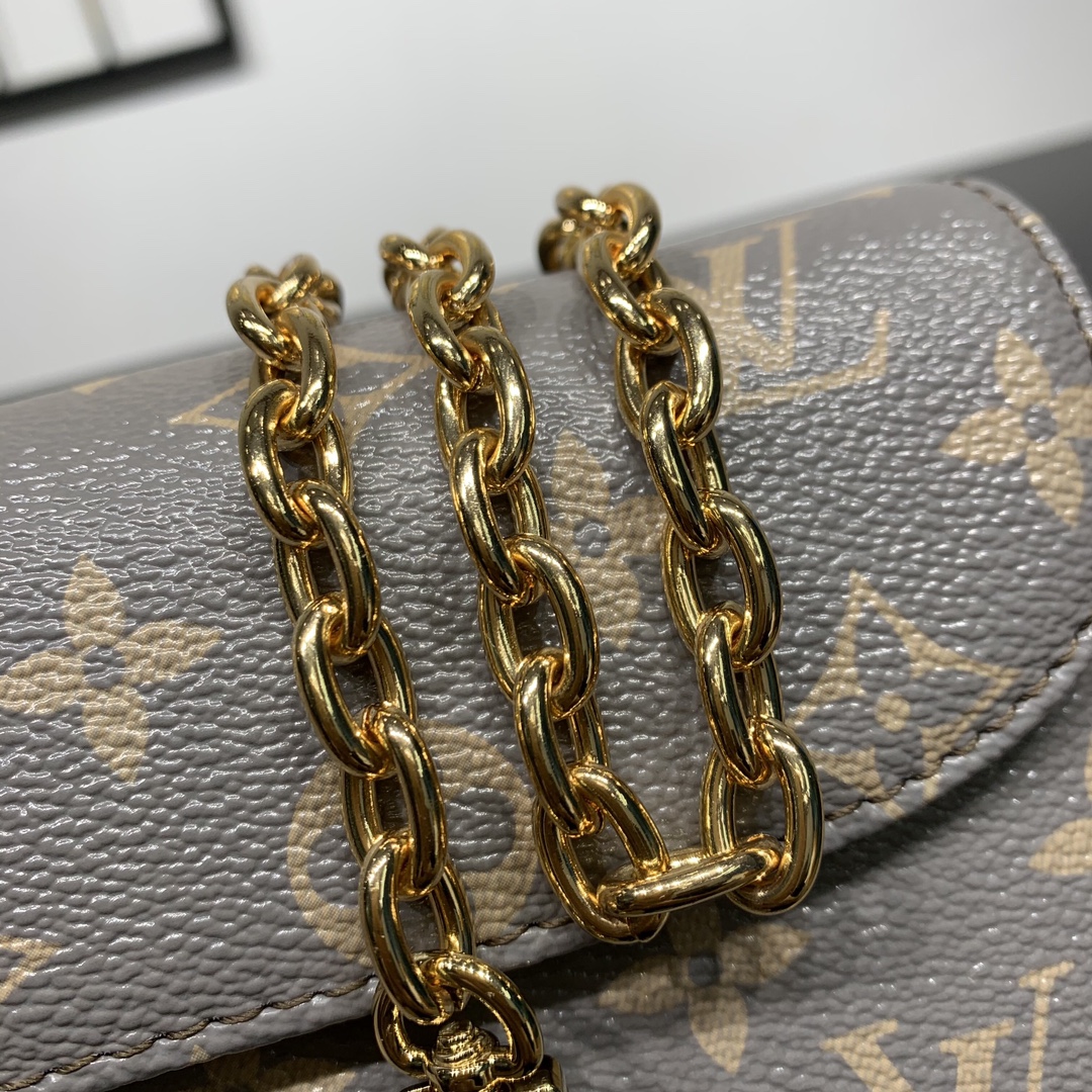 LV Bag