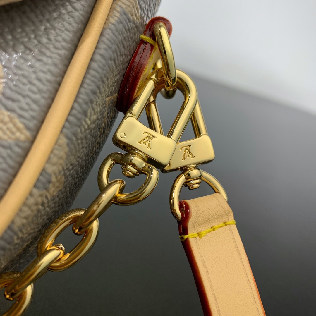 LV Bag