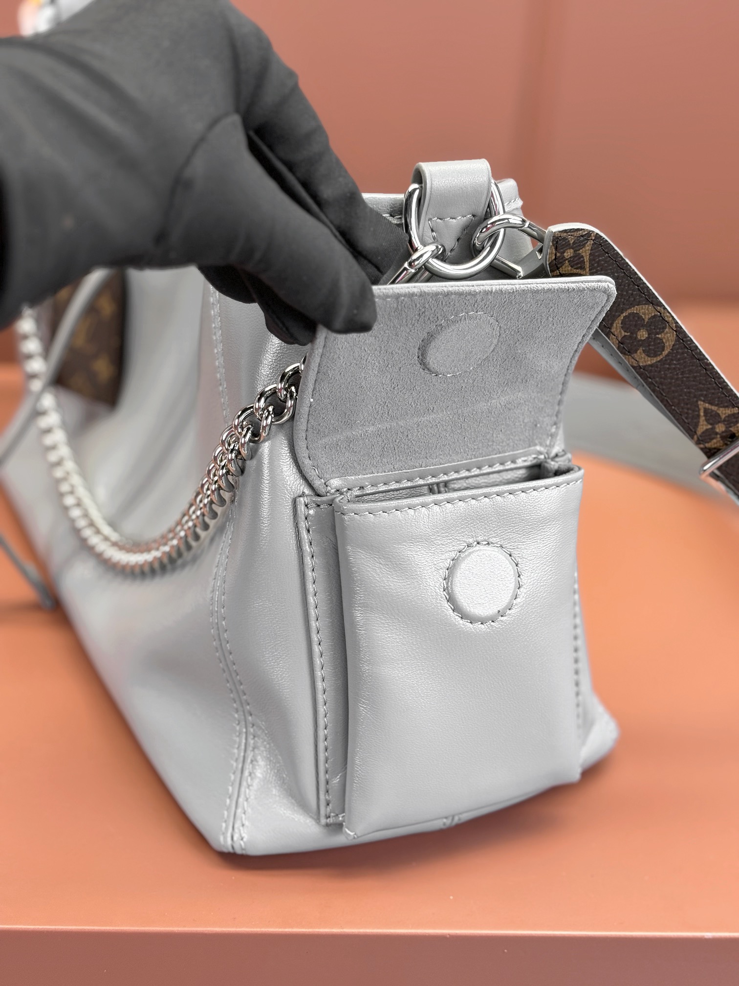 LV Bag