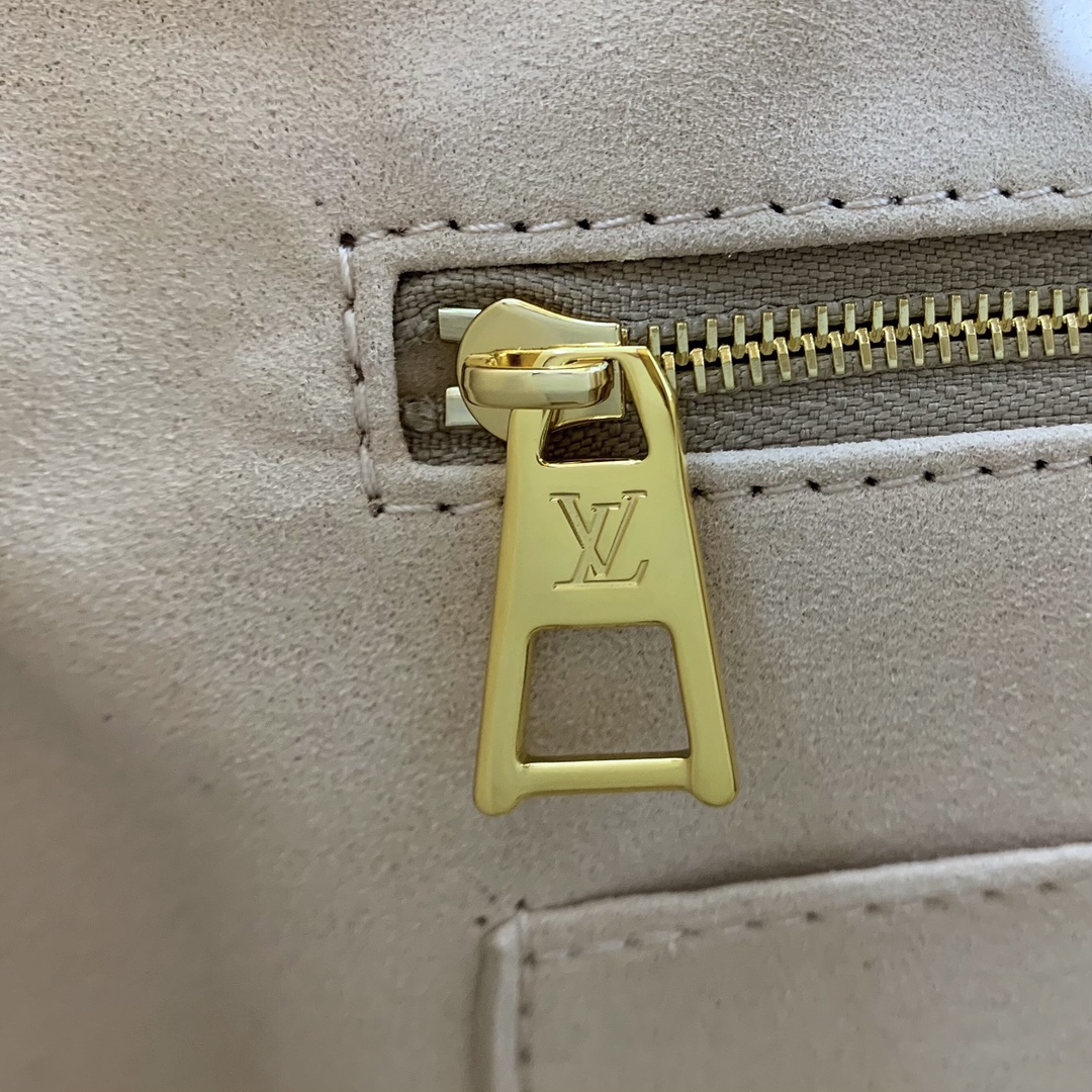 LV Bag