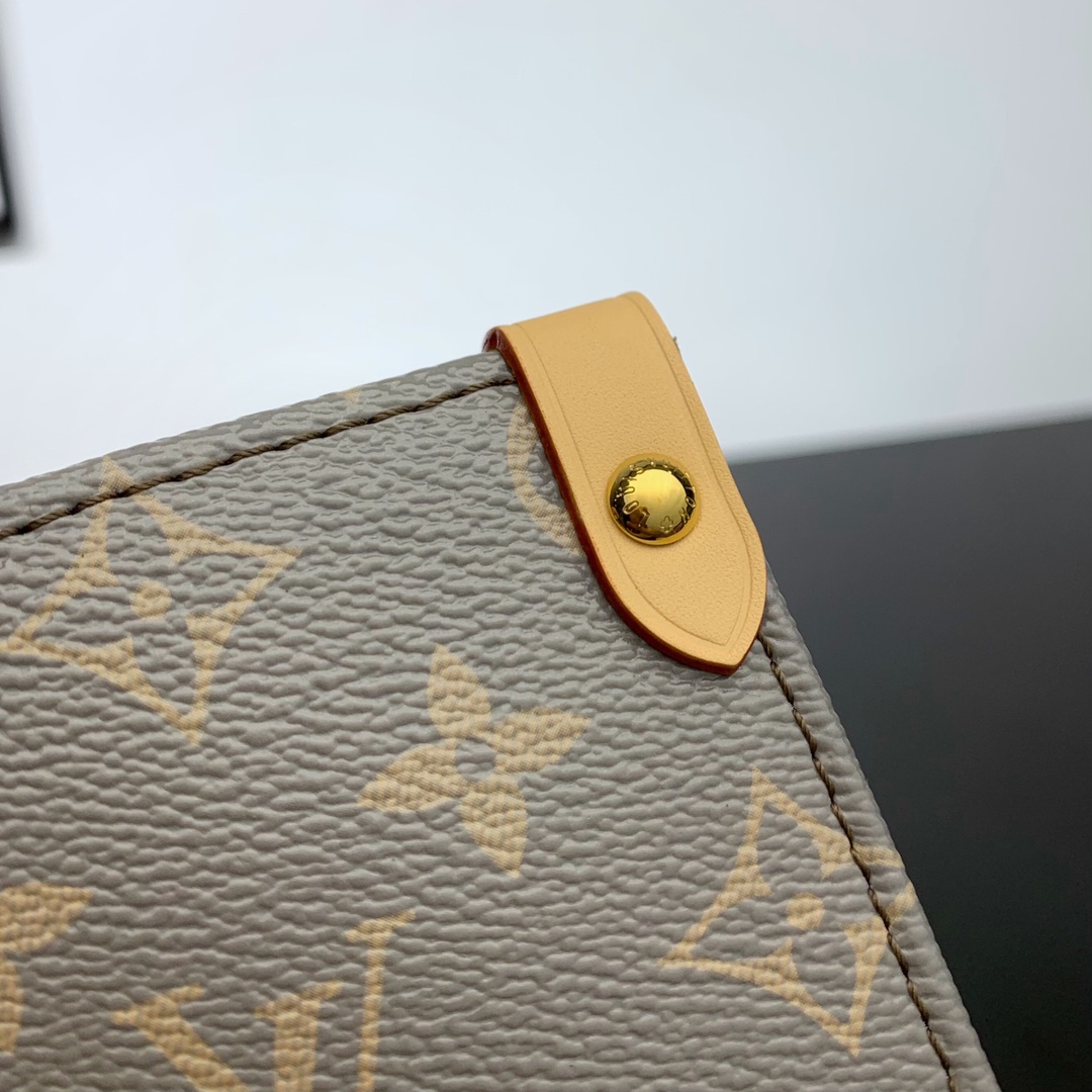 LV Bag