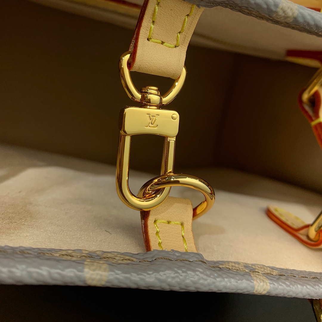 LV Bag