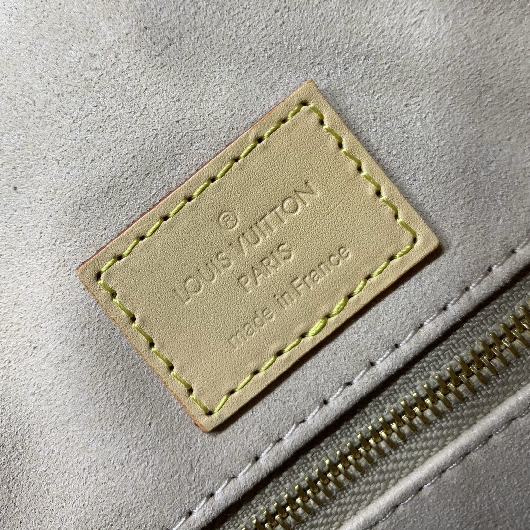 LV Bag