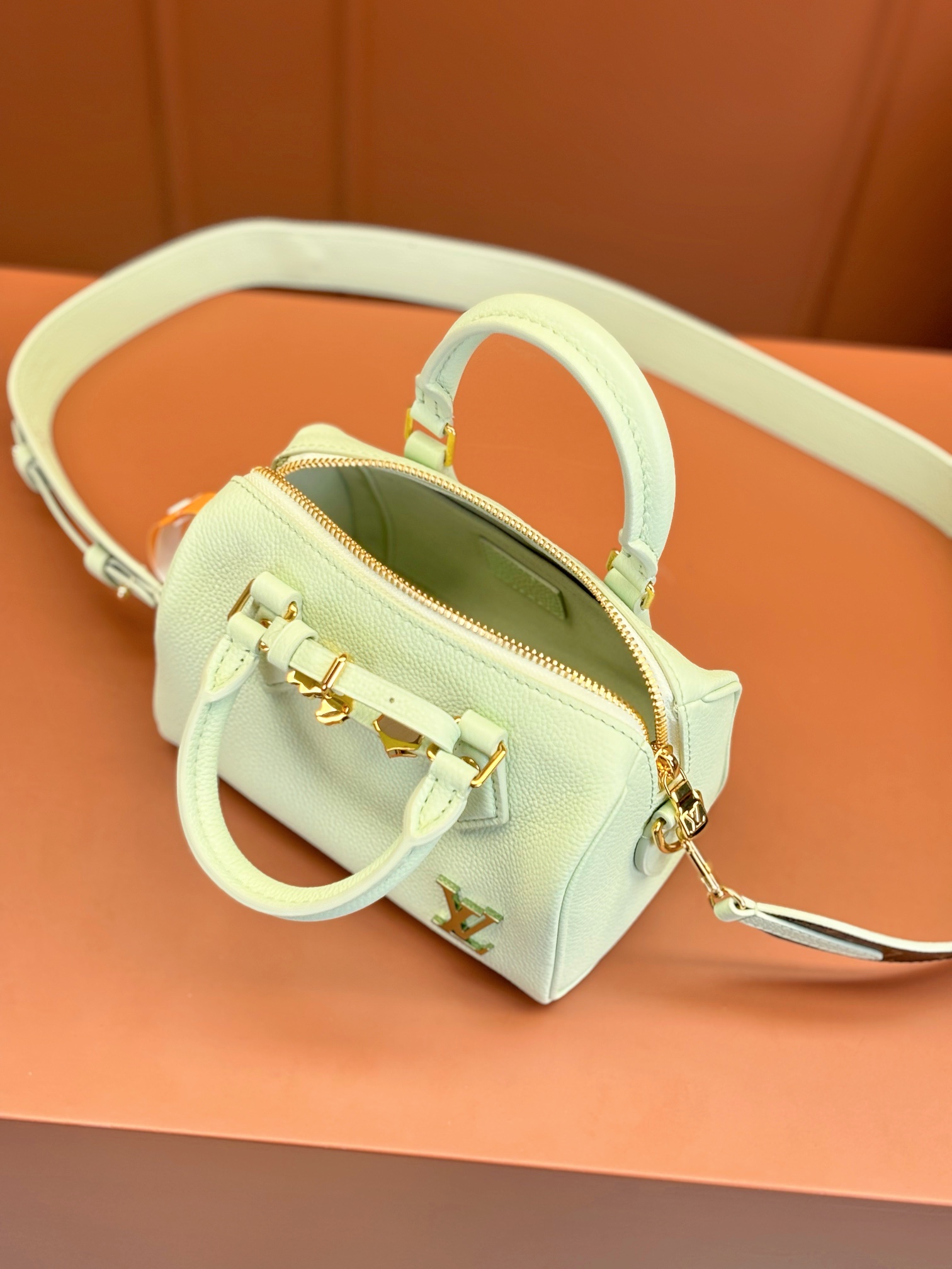 LV Bag
