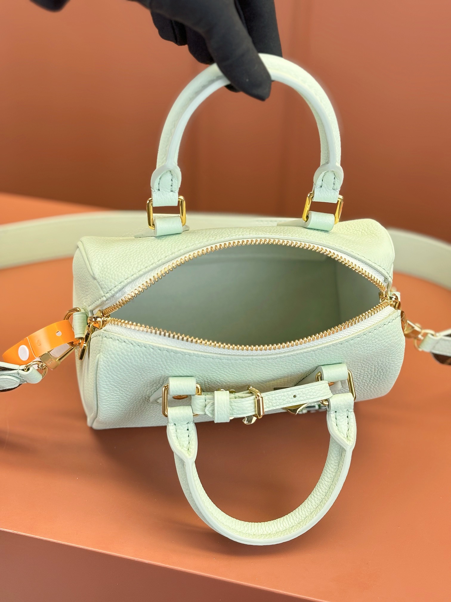 LV Bag