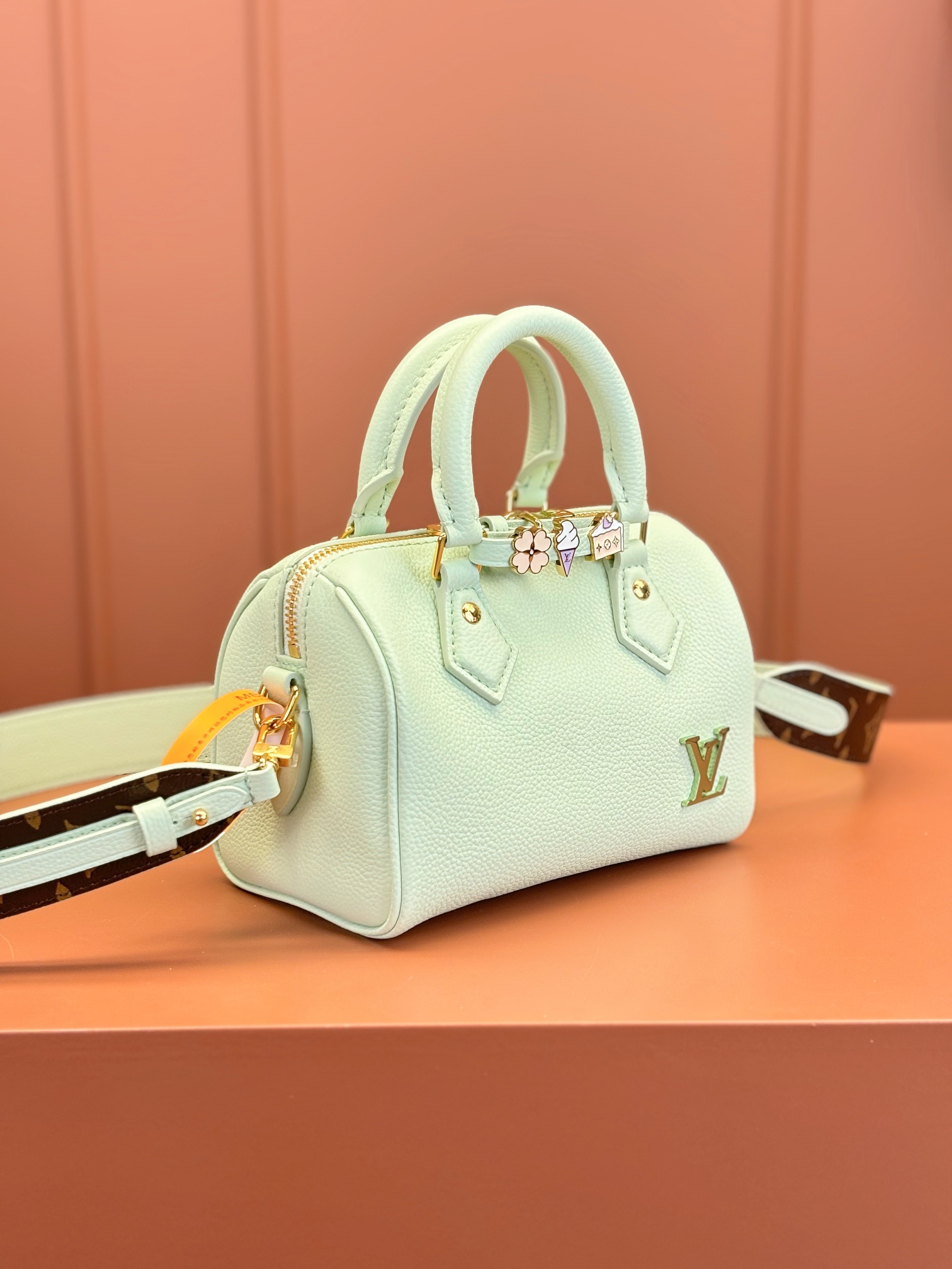LV Bag