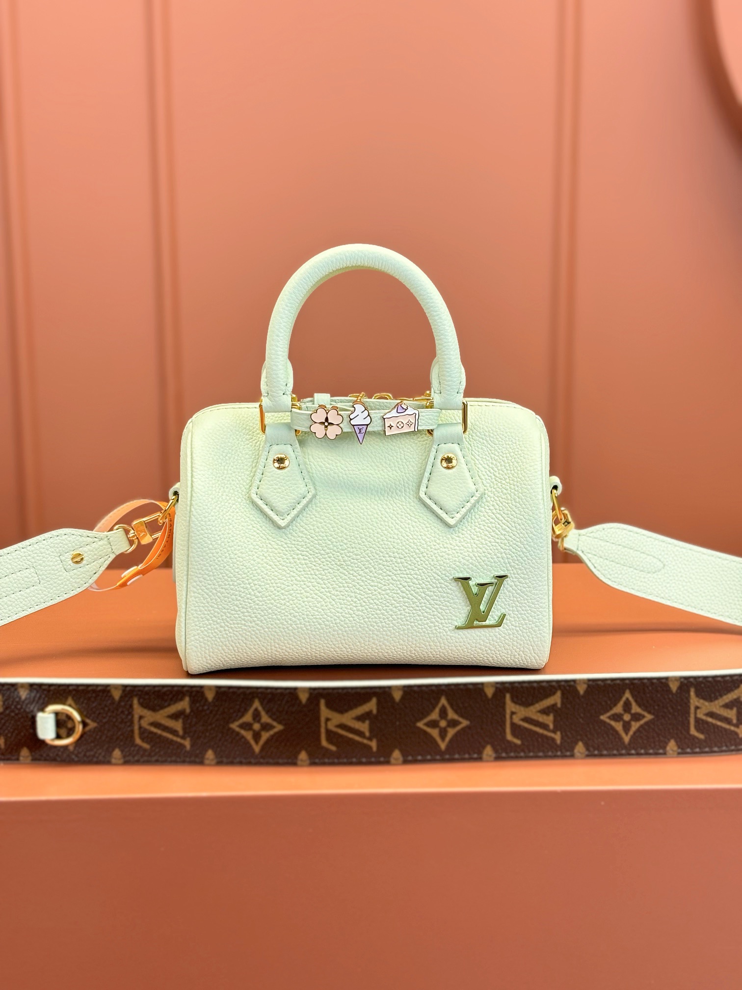 LV Bag