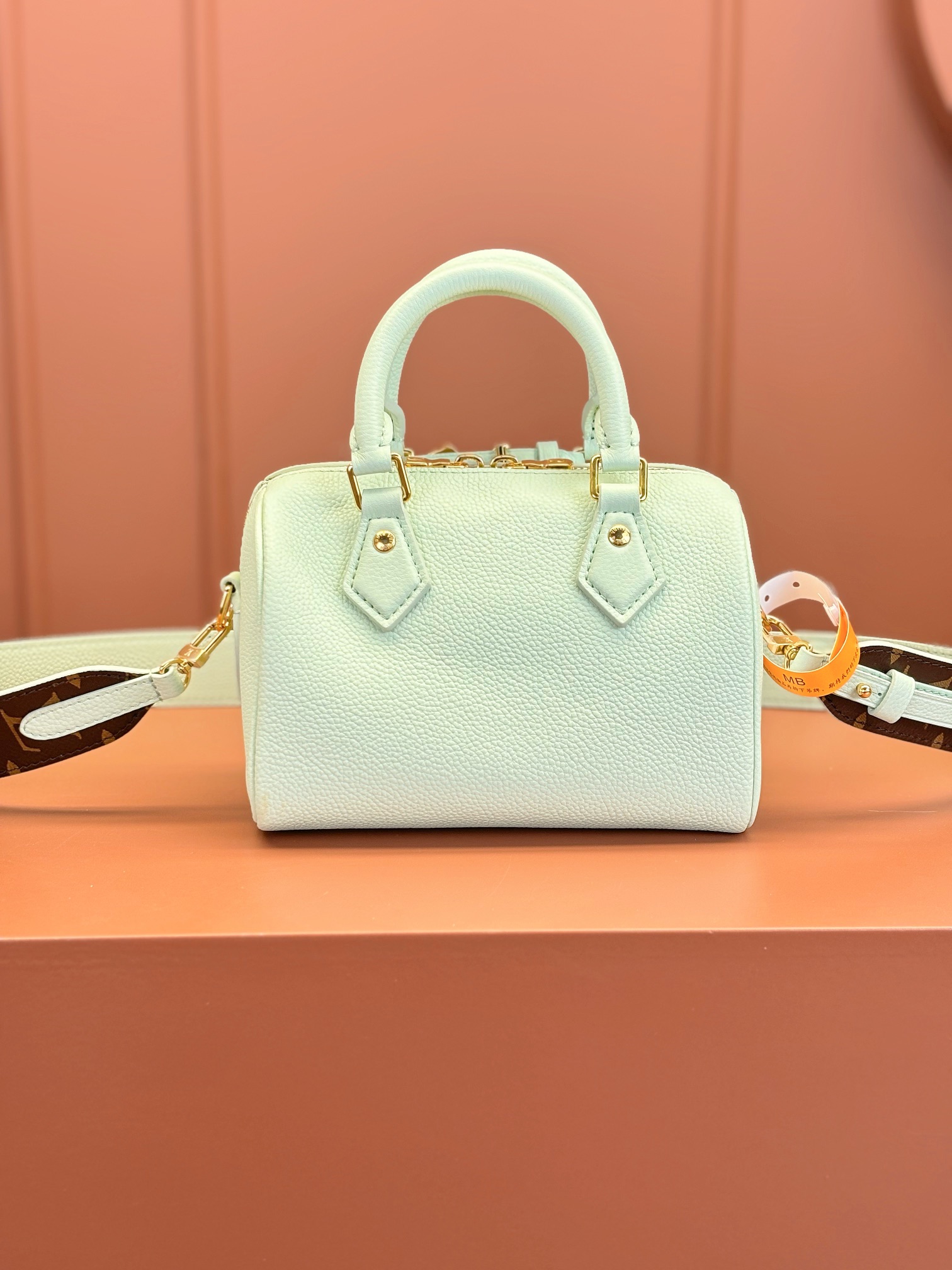LV Bag