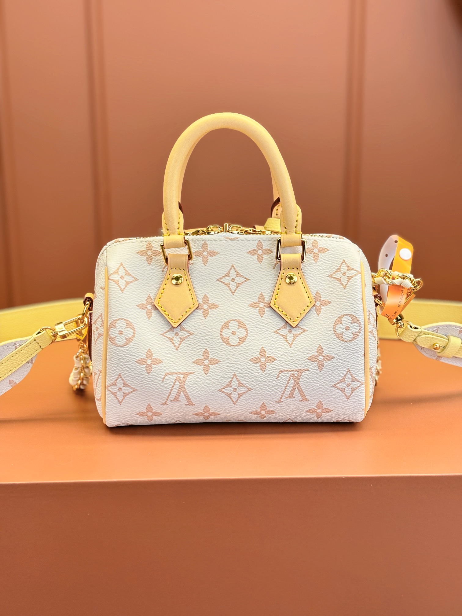LV Bag
