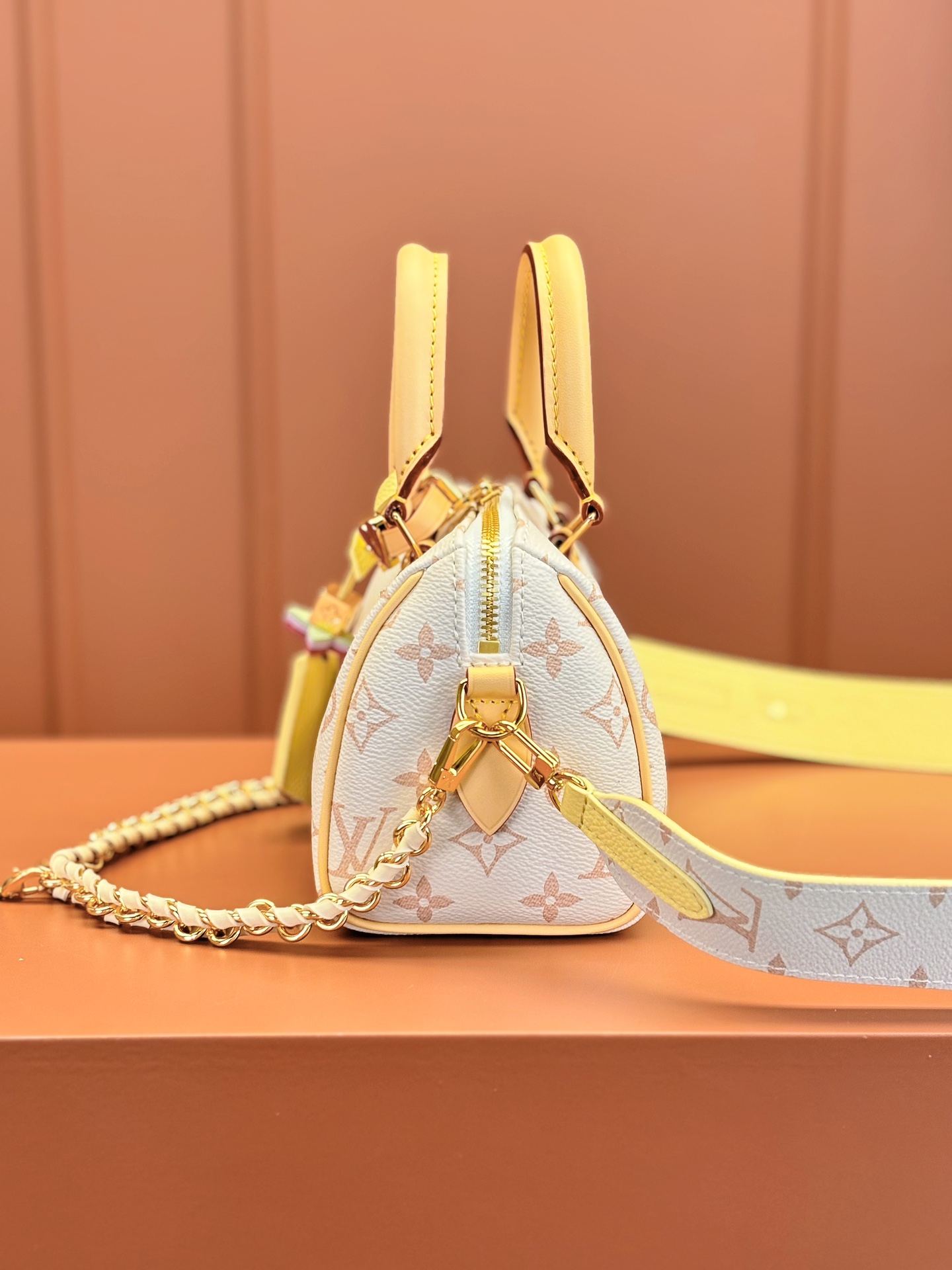 LV Bag