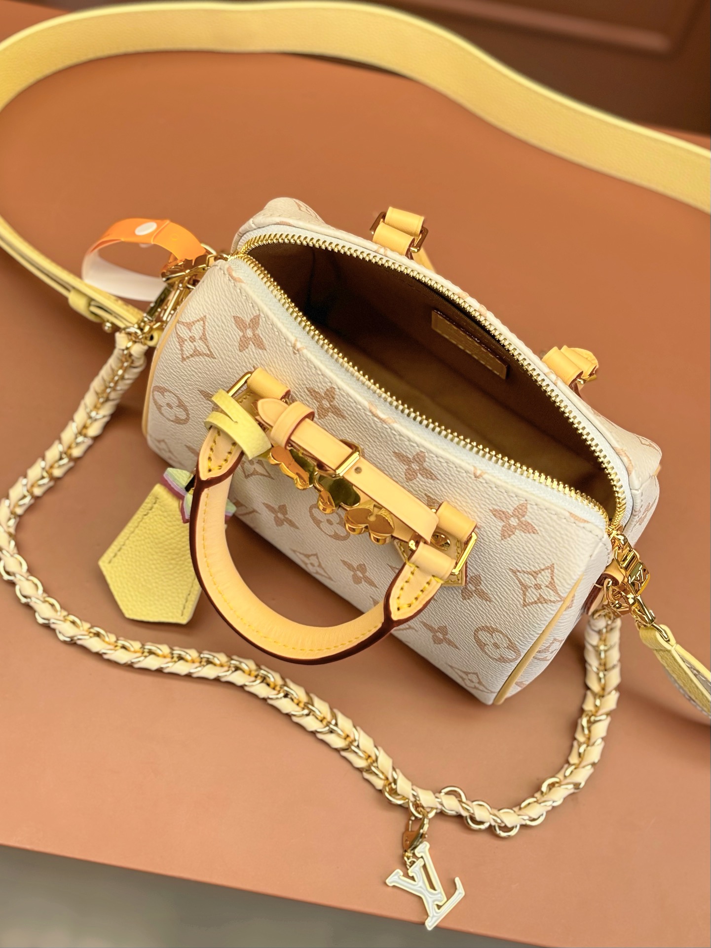 LV Bag