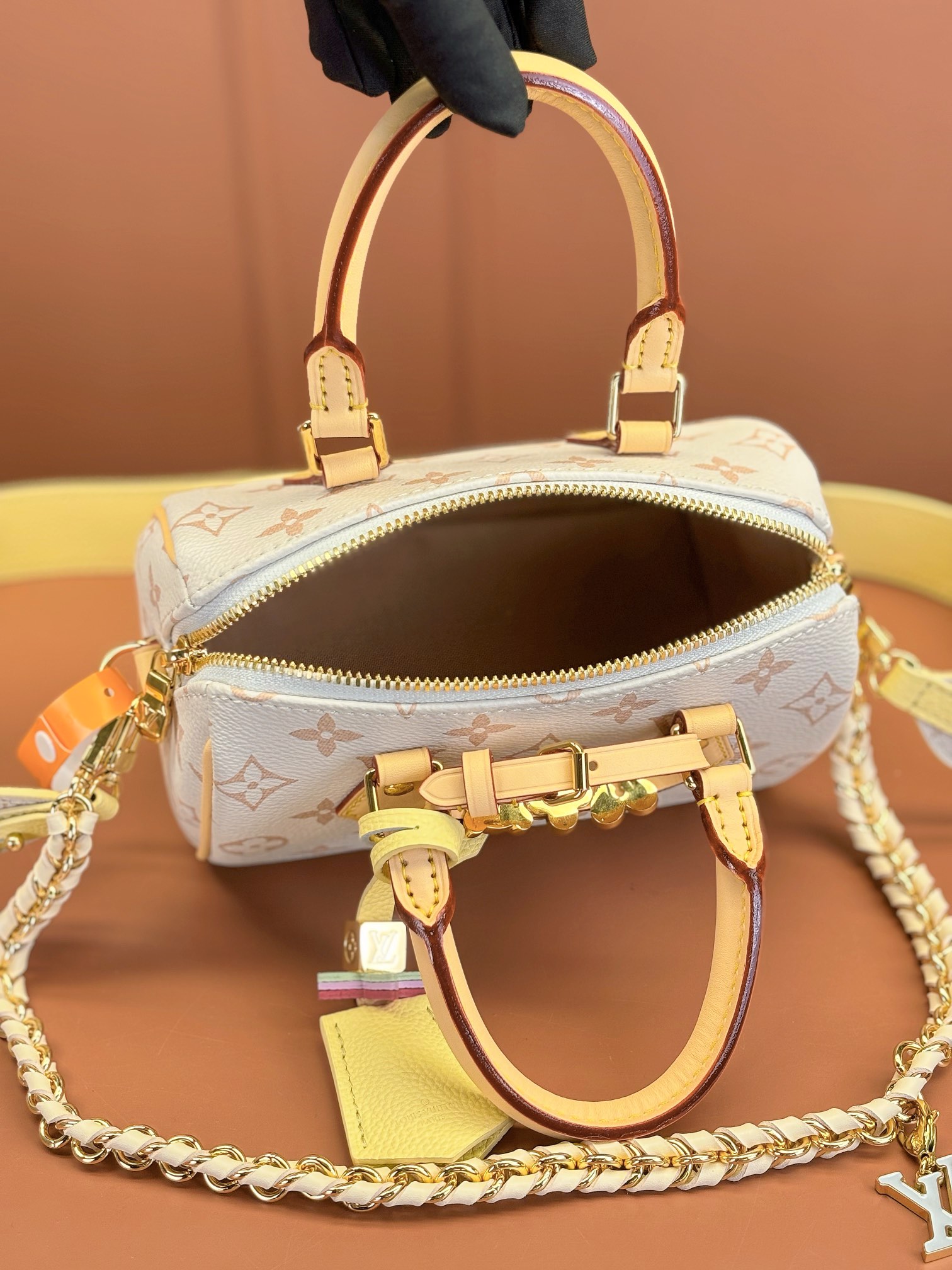 LV Bag