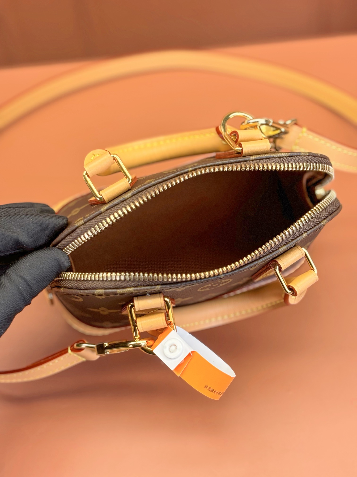 LV Bag