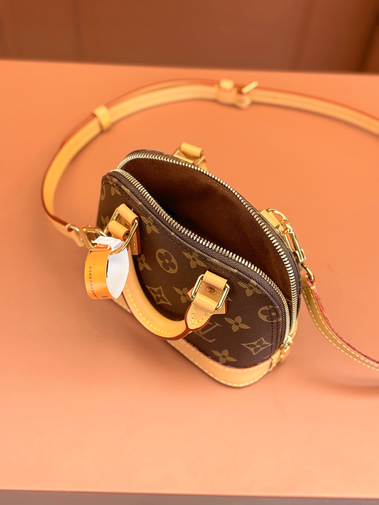 LV Bag