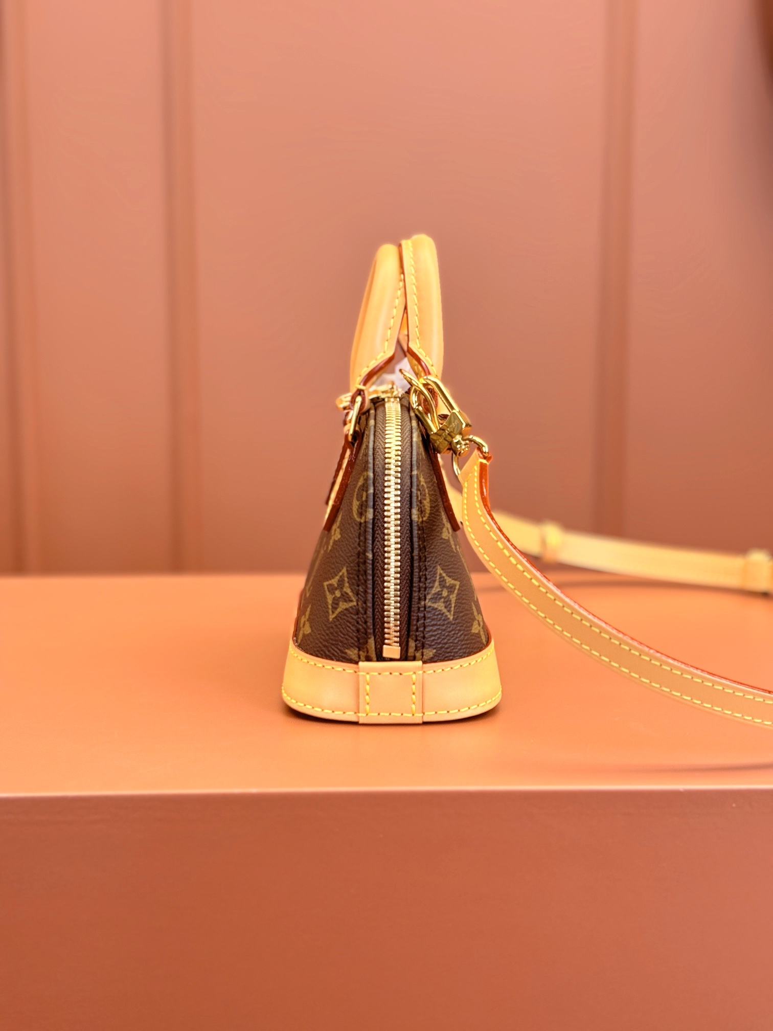 LV Bag