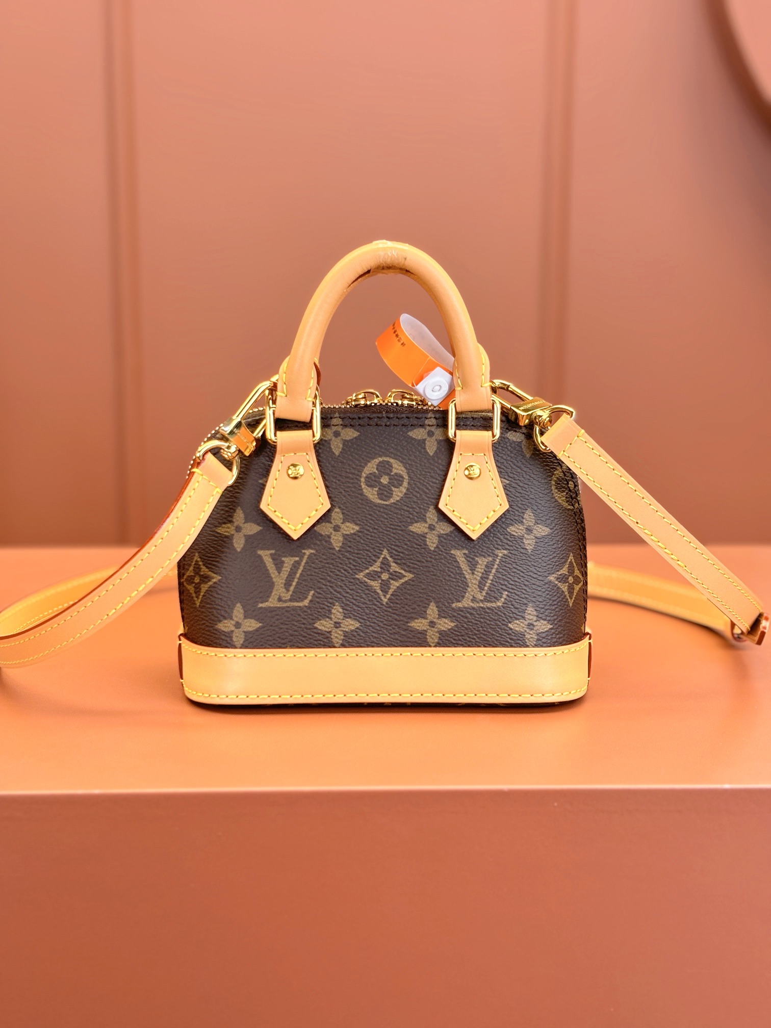 LV Bag