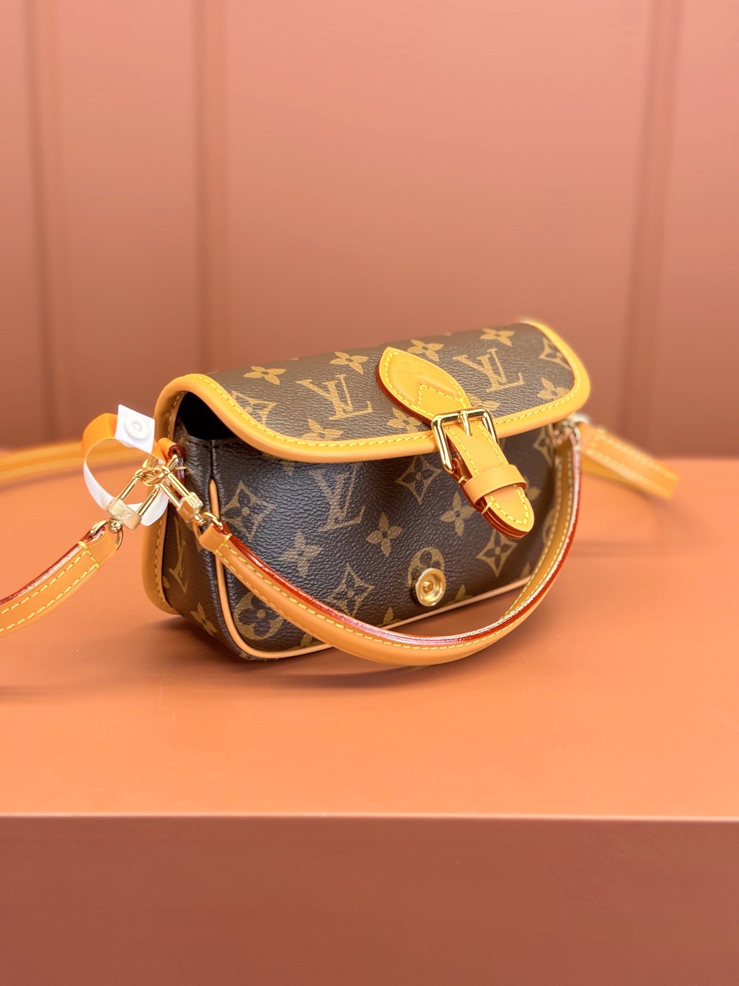 LV Bag