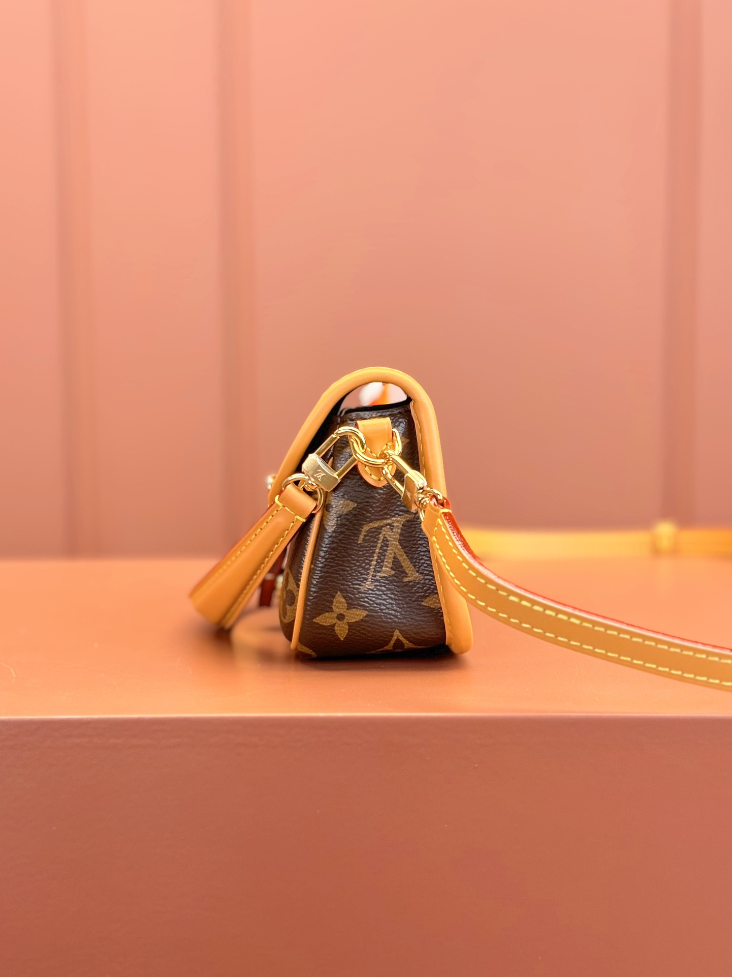 LV Bag
