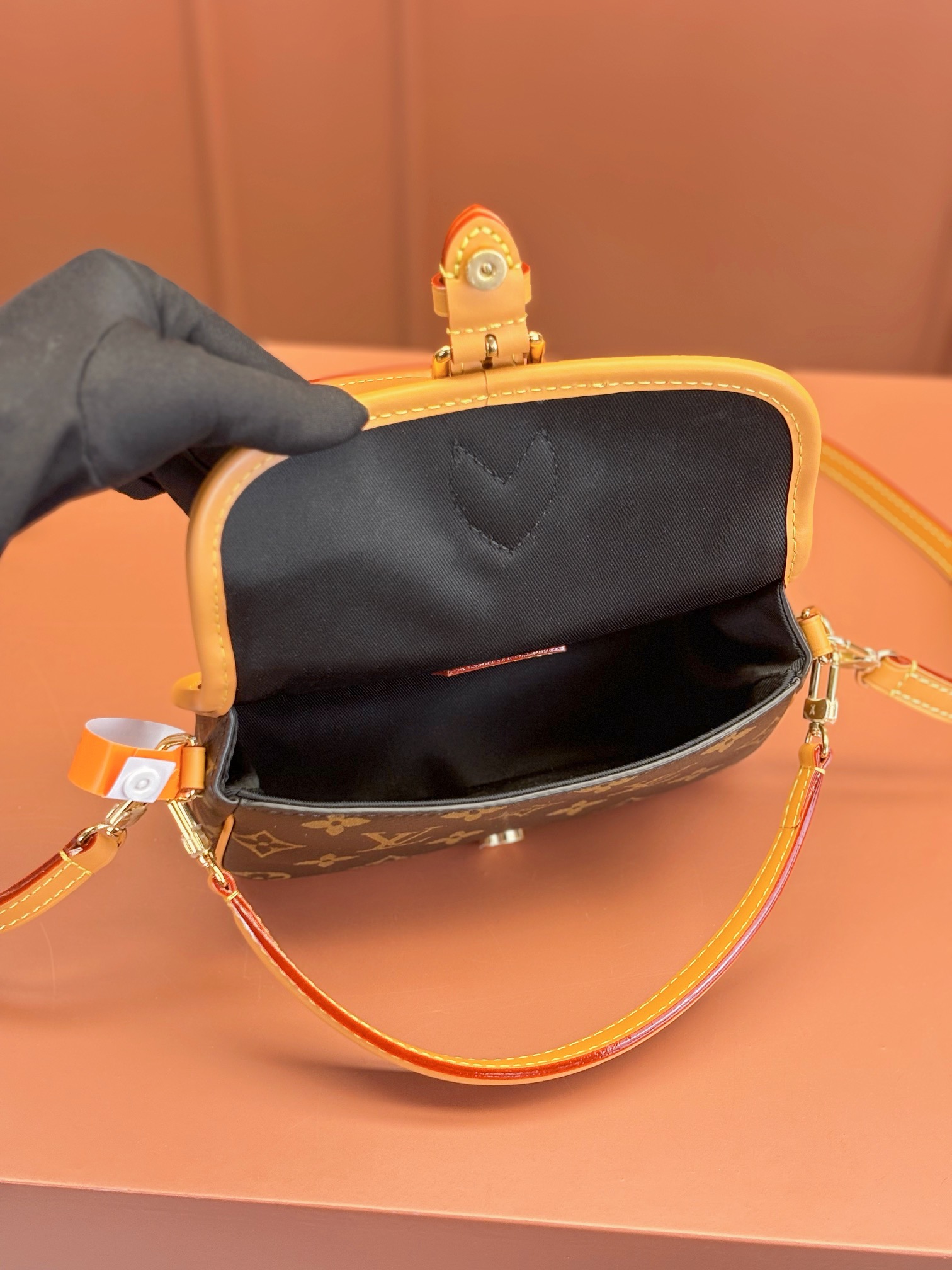 LV Bag
