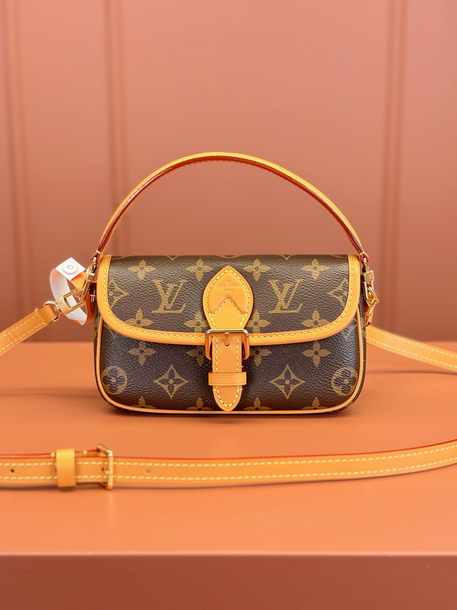 LV Bag