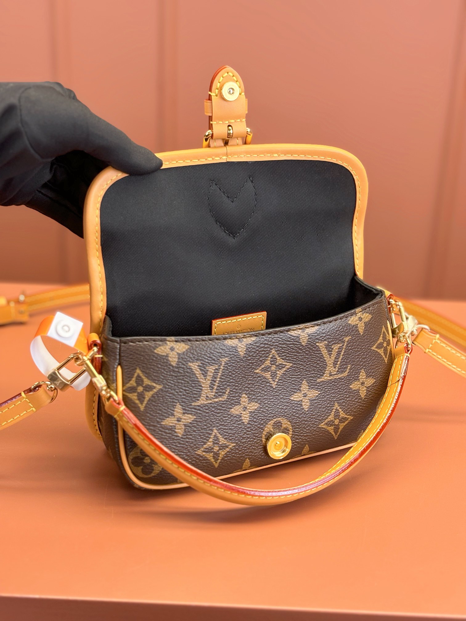 LV Bag
