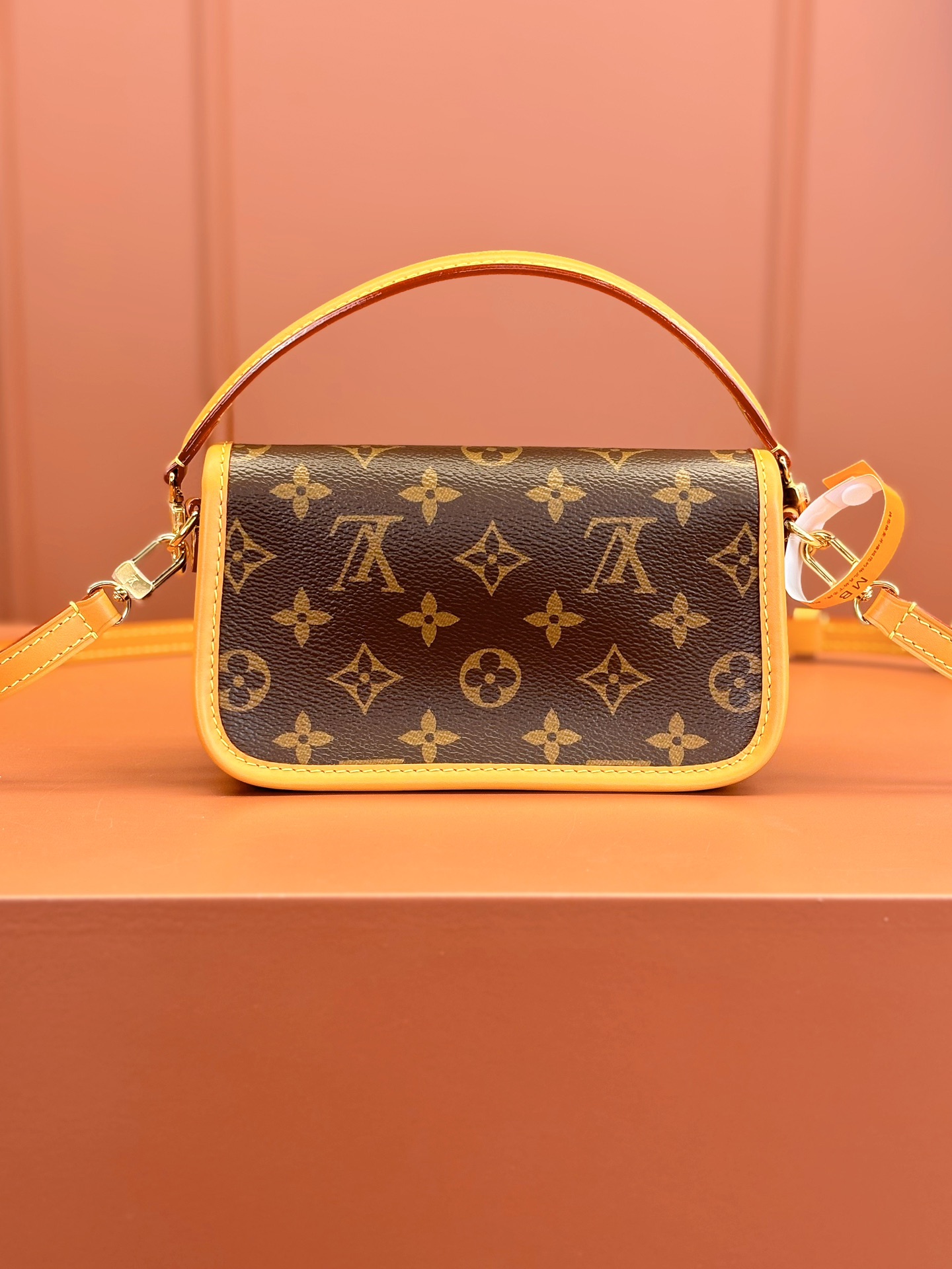 LV Bag