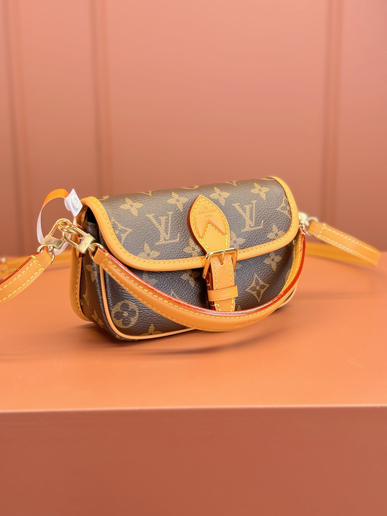 LV Bag