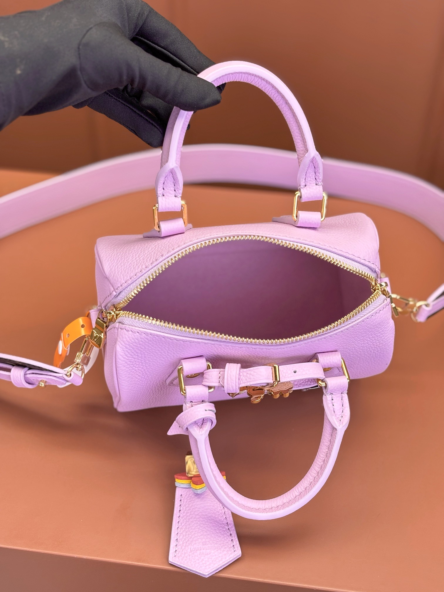 LV Bag
