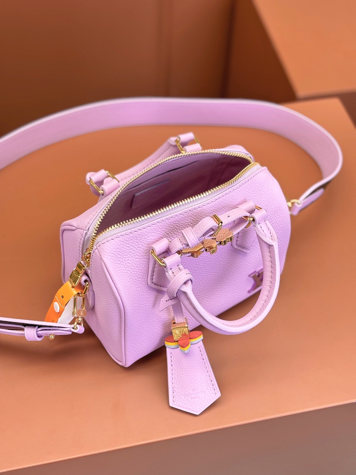LV Bag