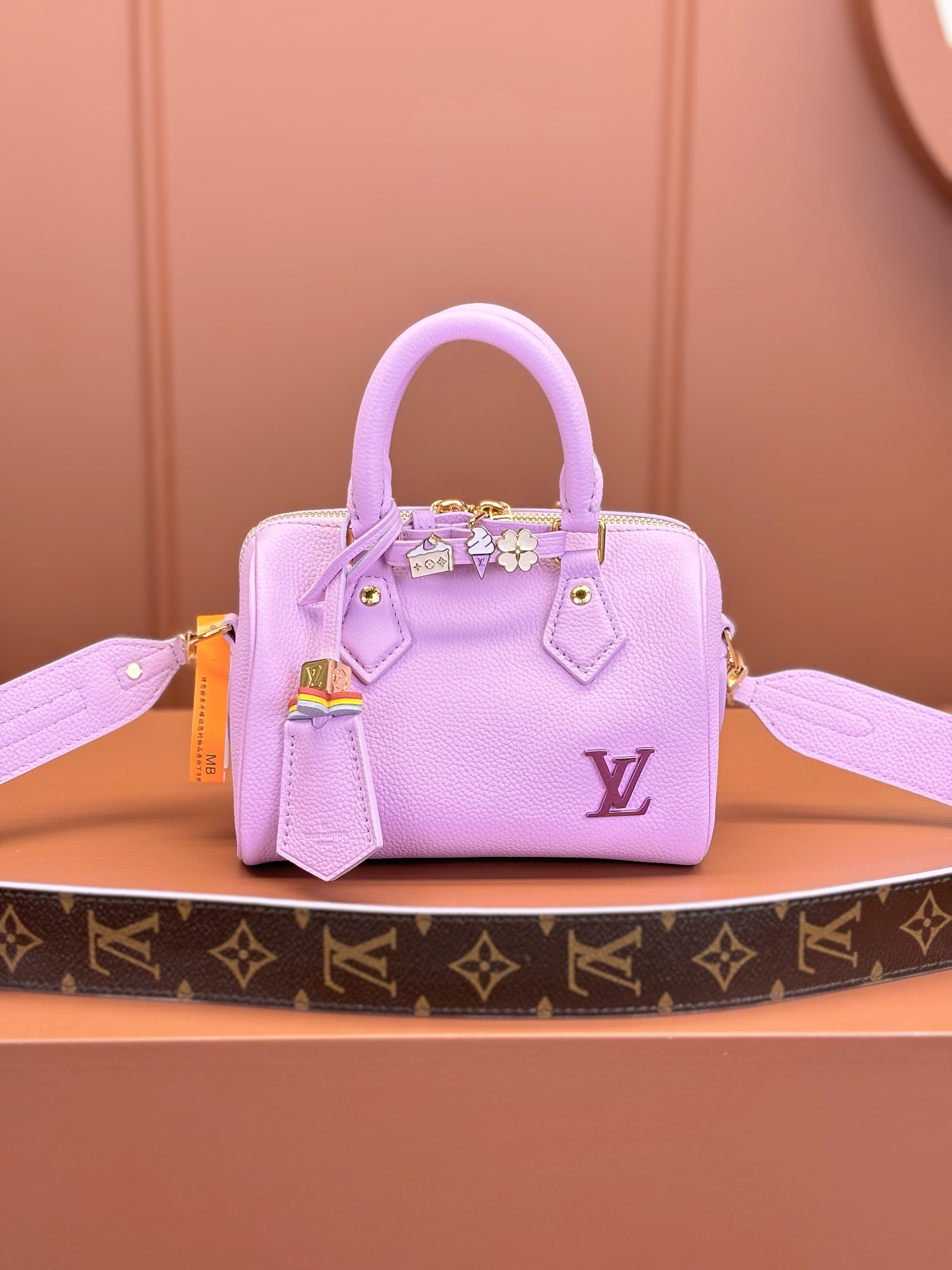 LV Bag