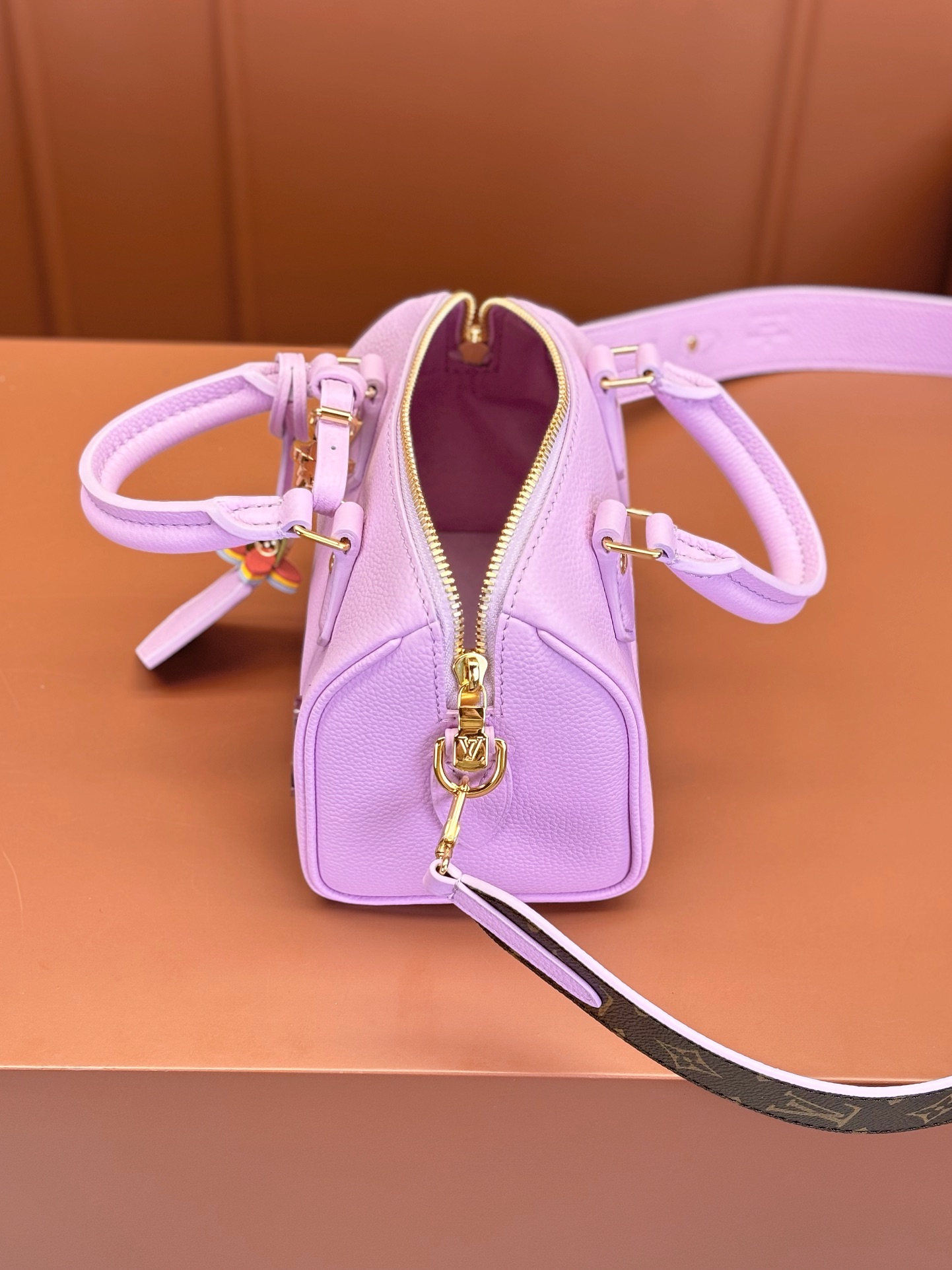 LV Bag